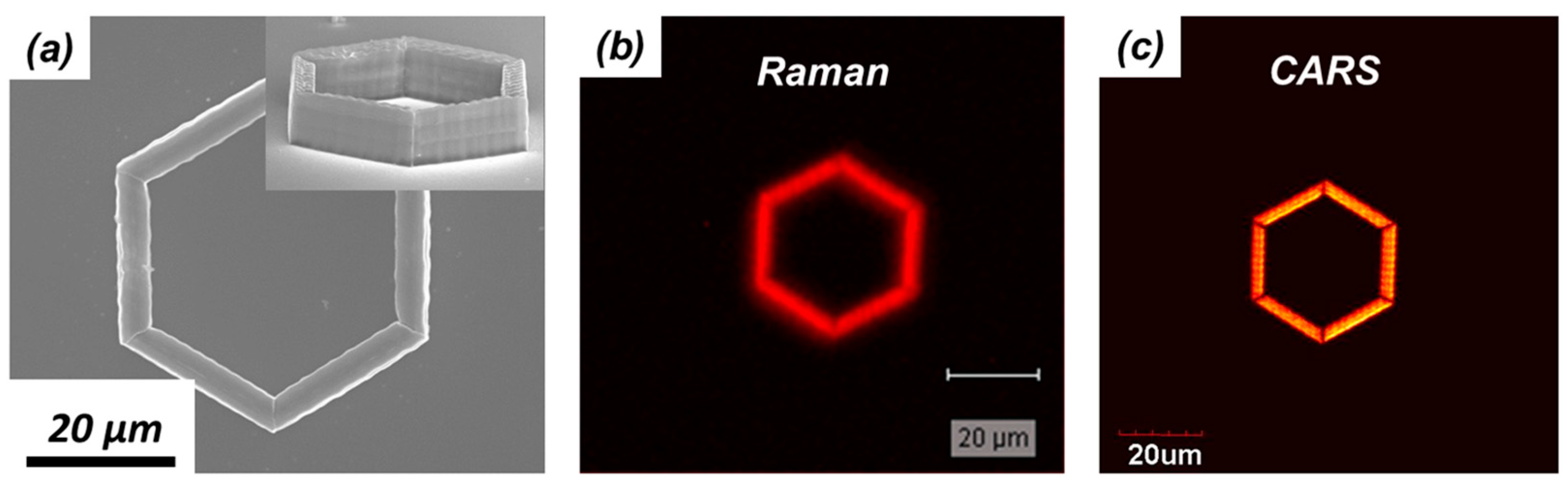 Micromachines 08 00101 g011