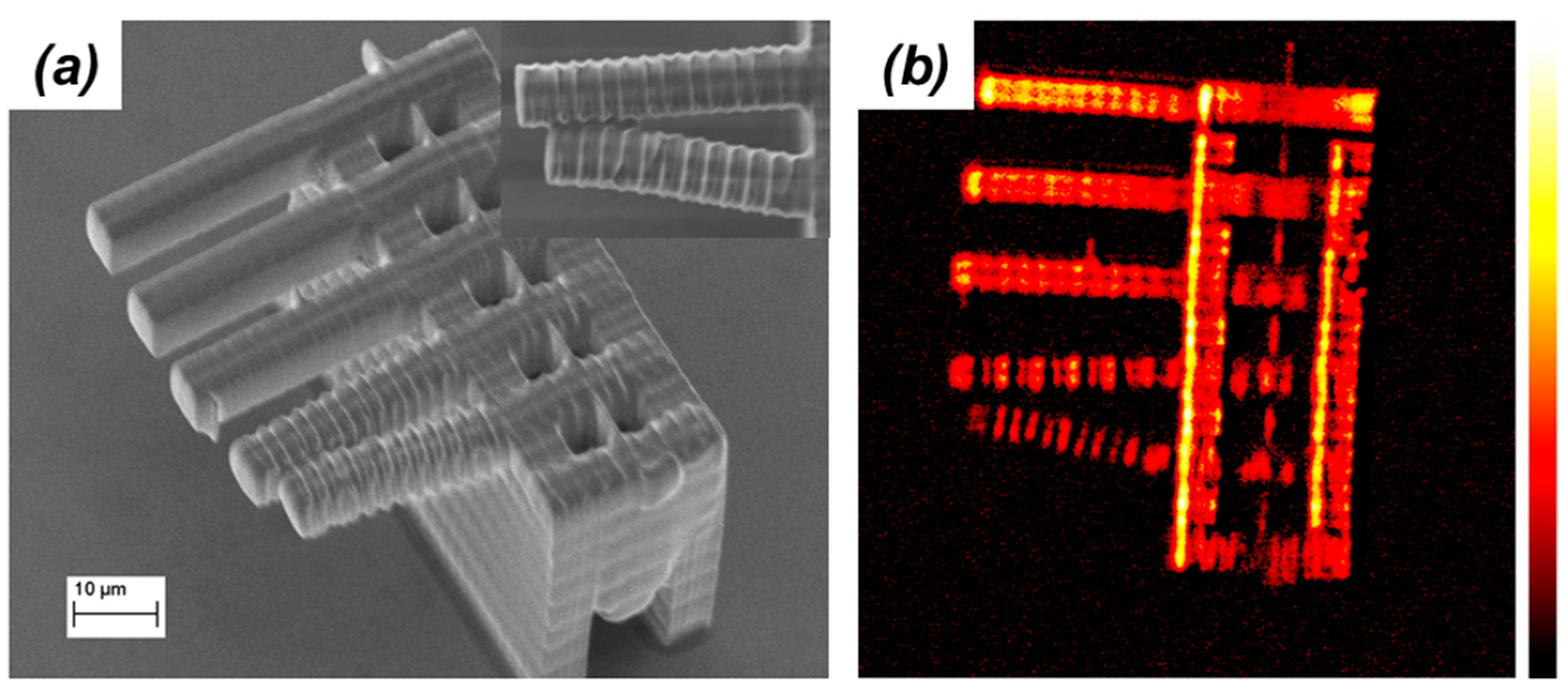 Micromachines 08 00101 g012