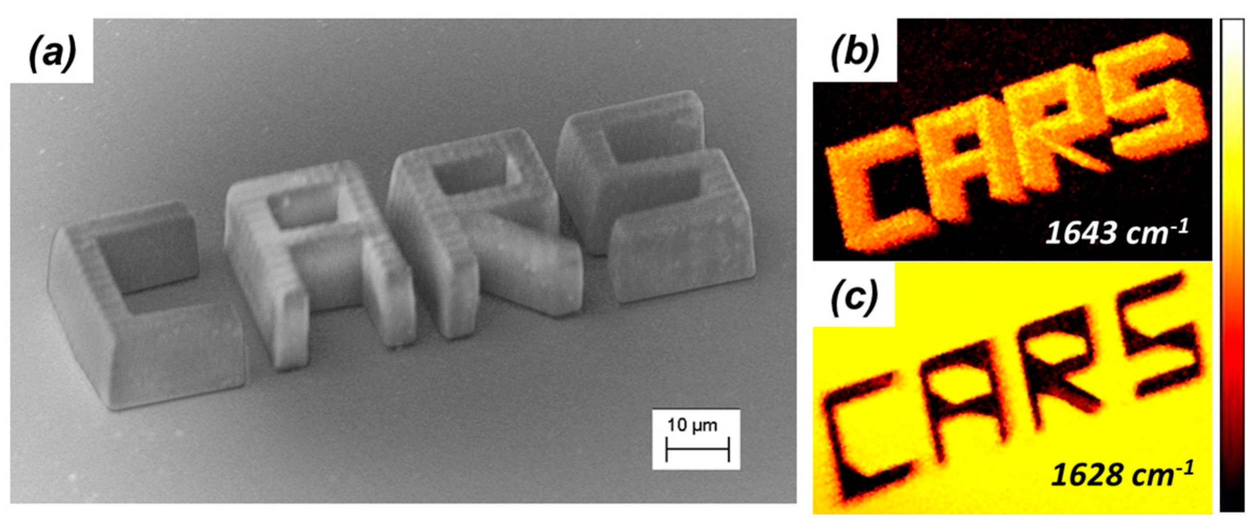 Micromachines 08 00101 g013