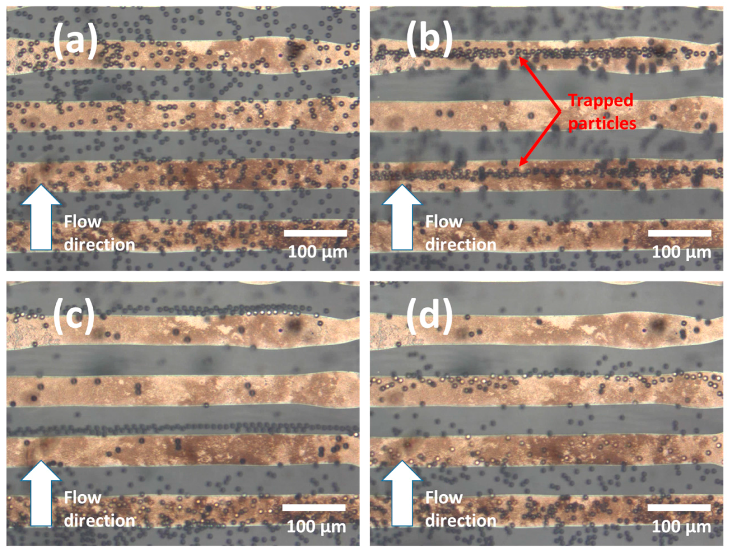 Micromachines 08 00106 g006