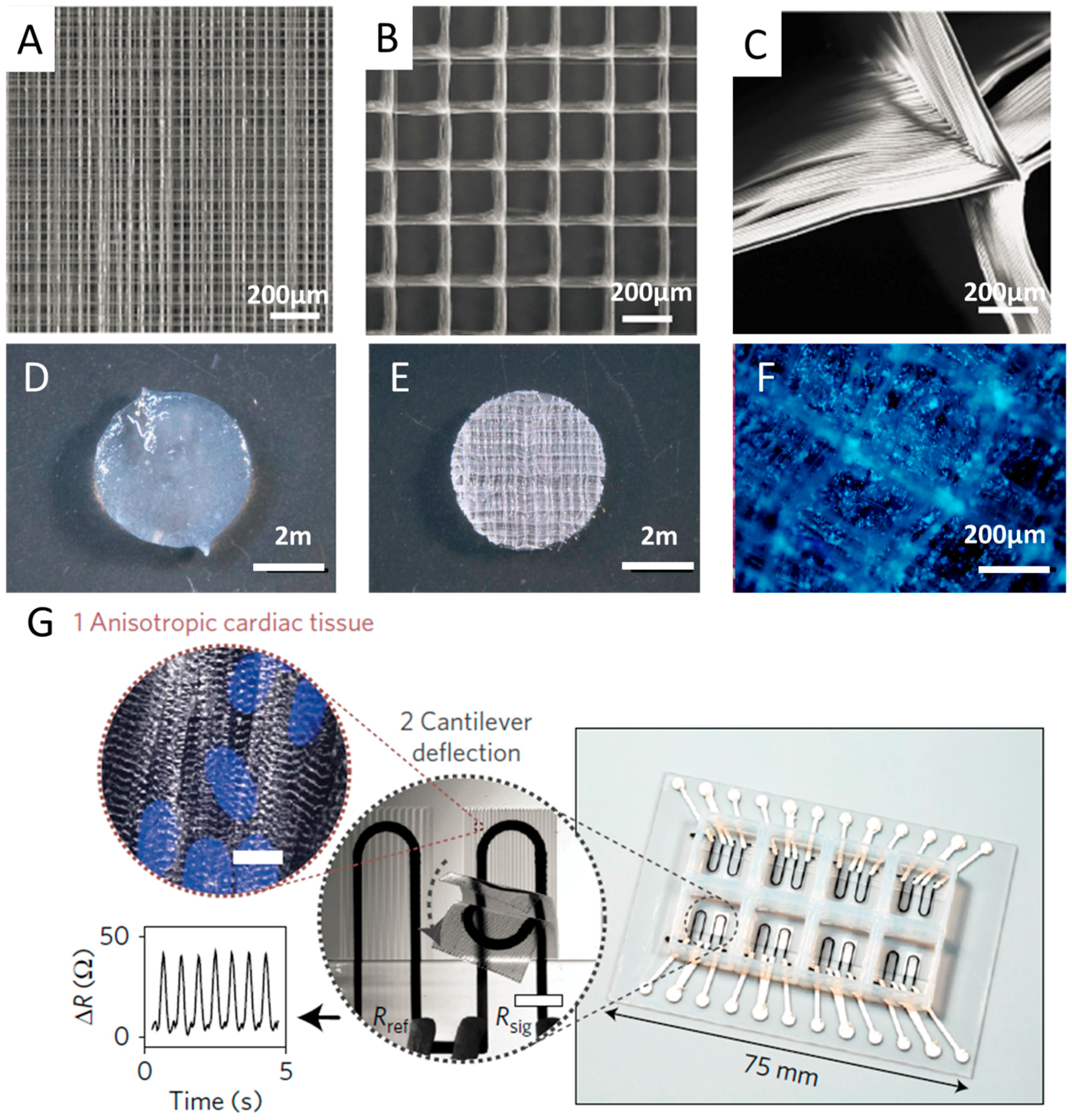 Micromachines 08 00113 g007