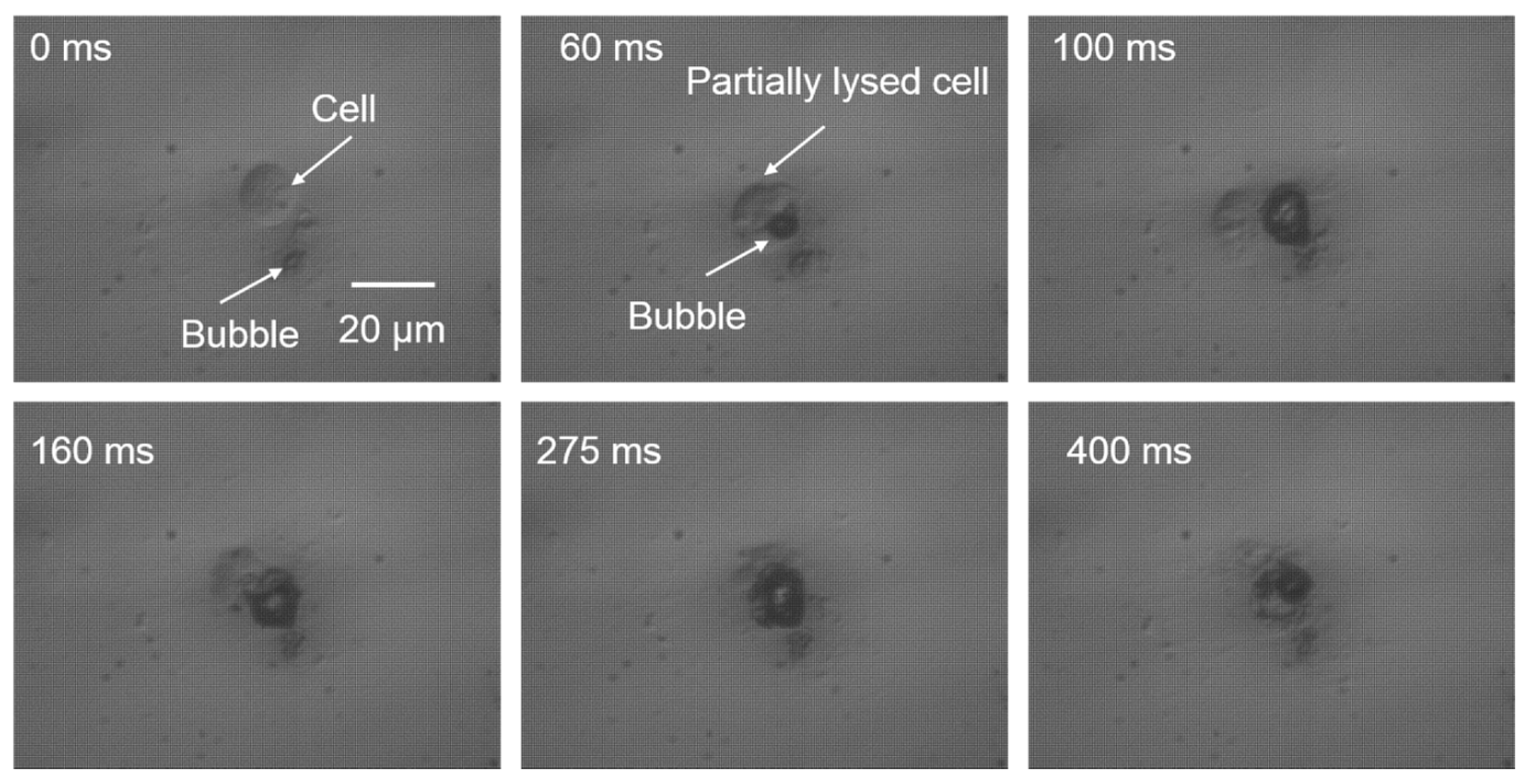 Micromachines 08 00121 g002
