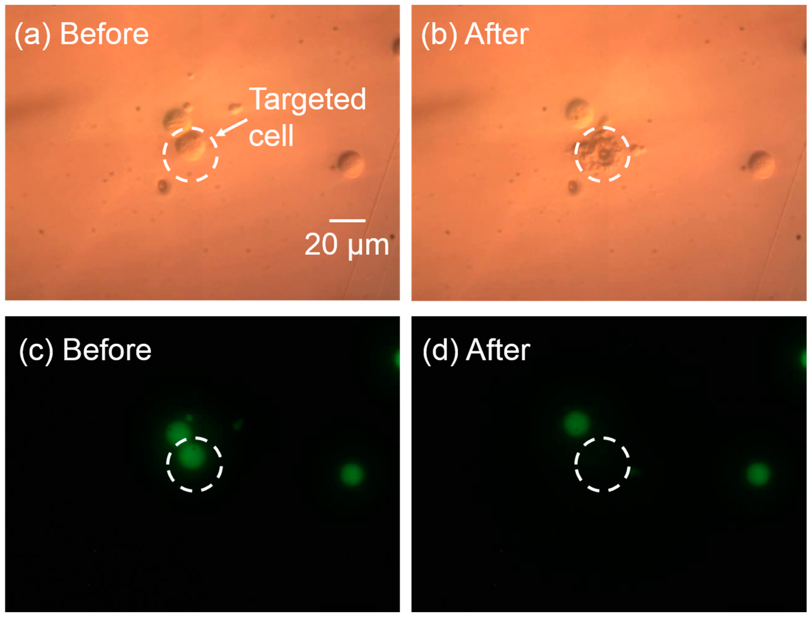 Micromachines 08 00121 g006