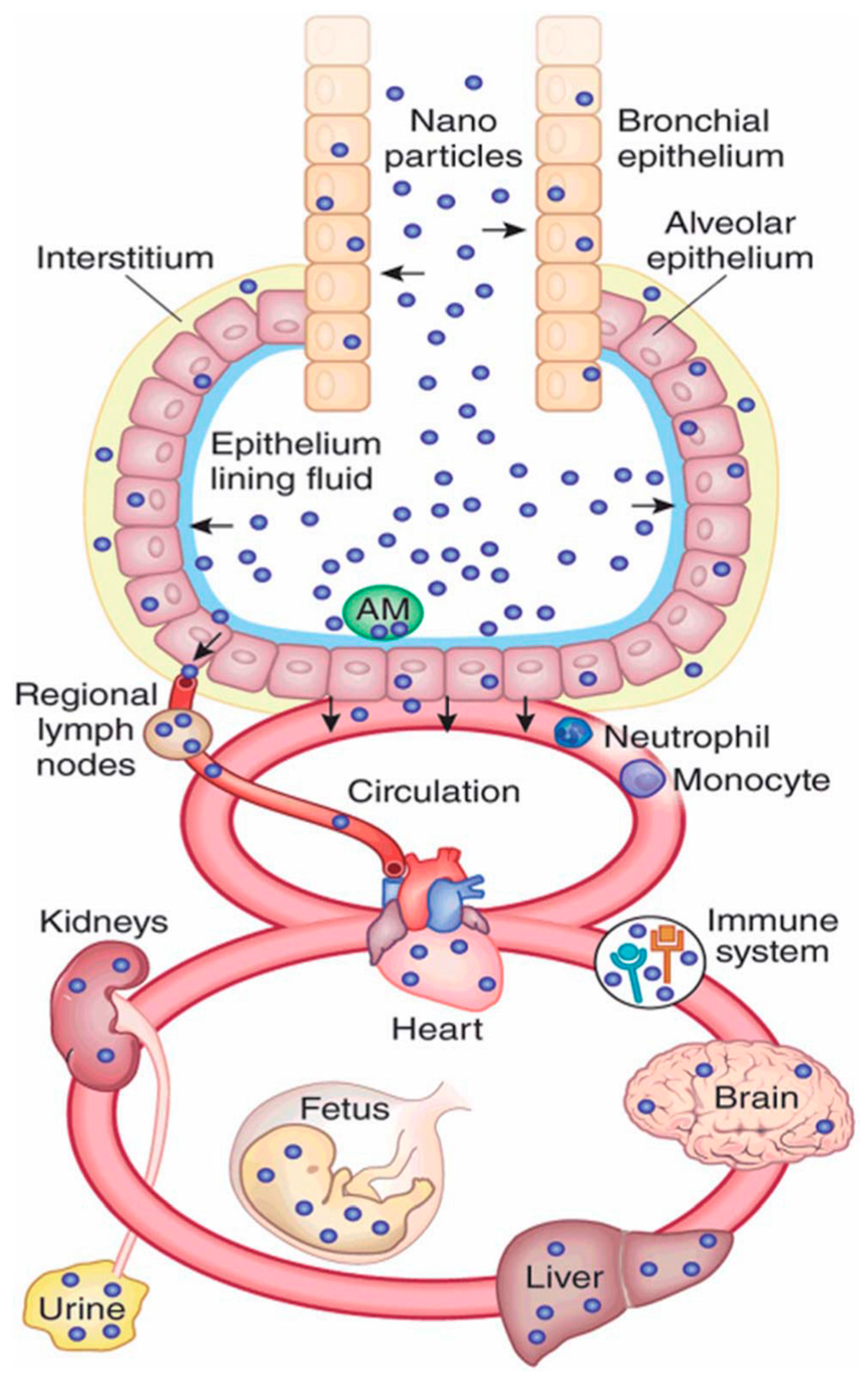 Micromachines 08 00124 g001