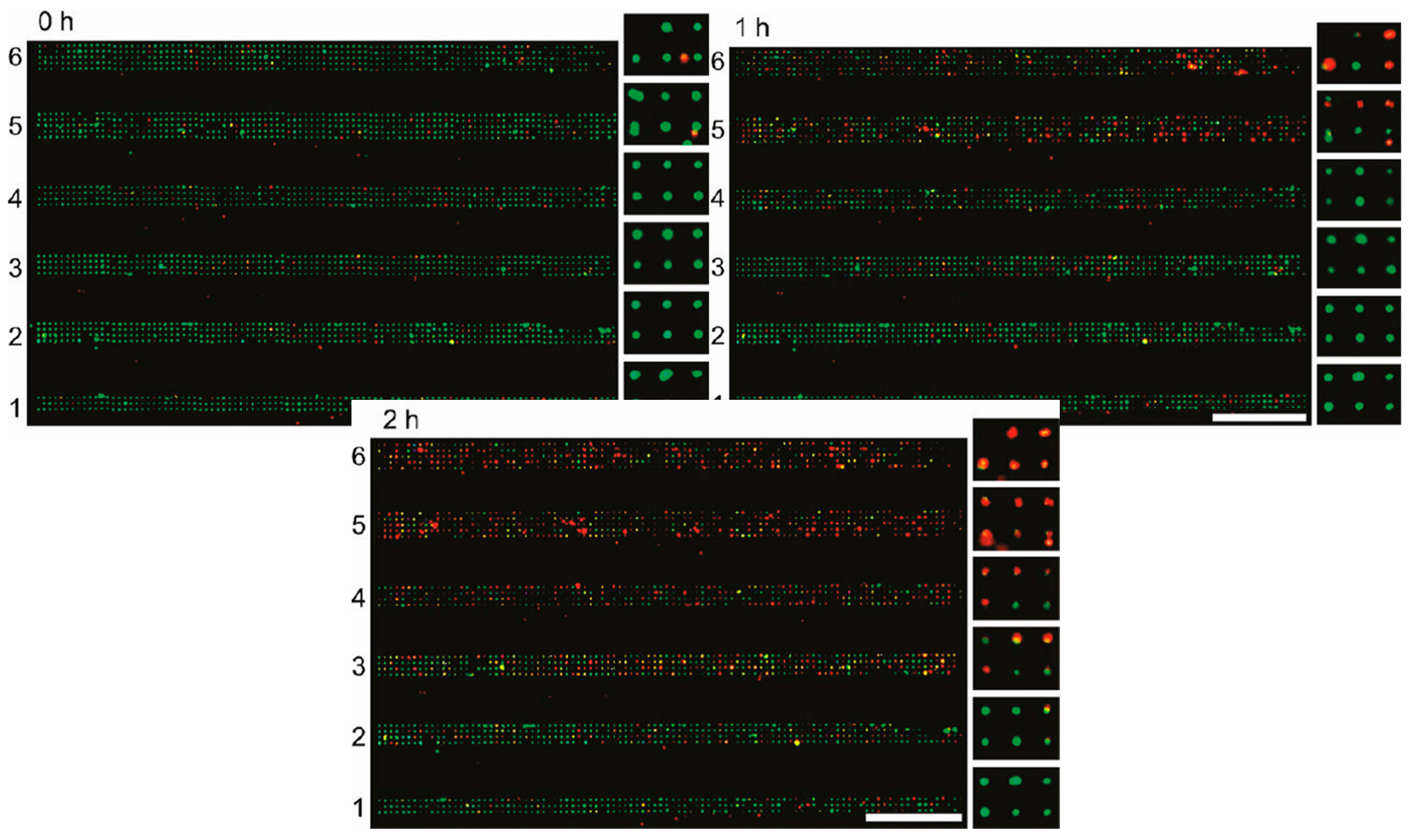 Micromachines 08 00124 g002