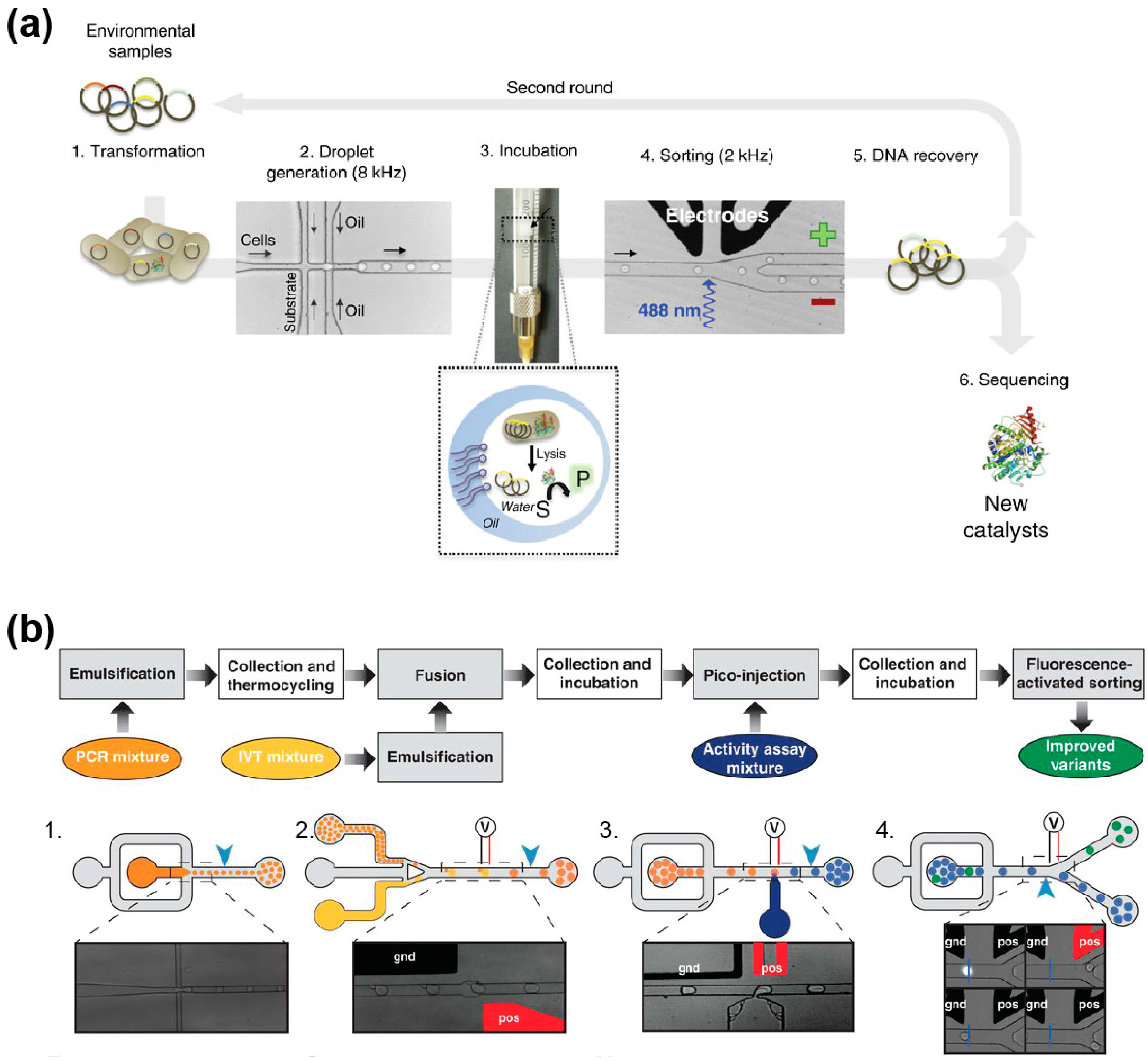Micromachines 08 00128 g007