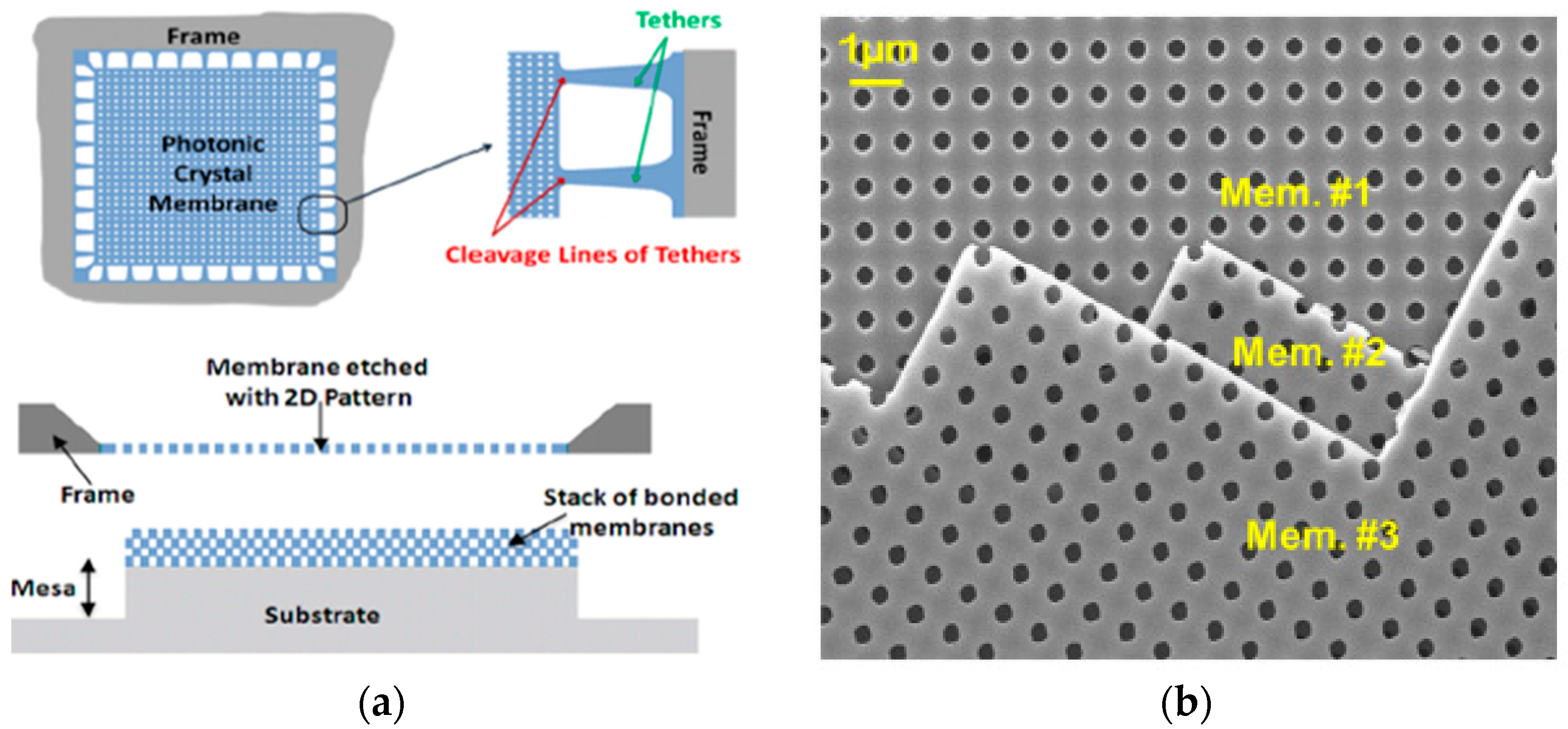 Micromachines 08 00131 g003