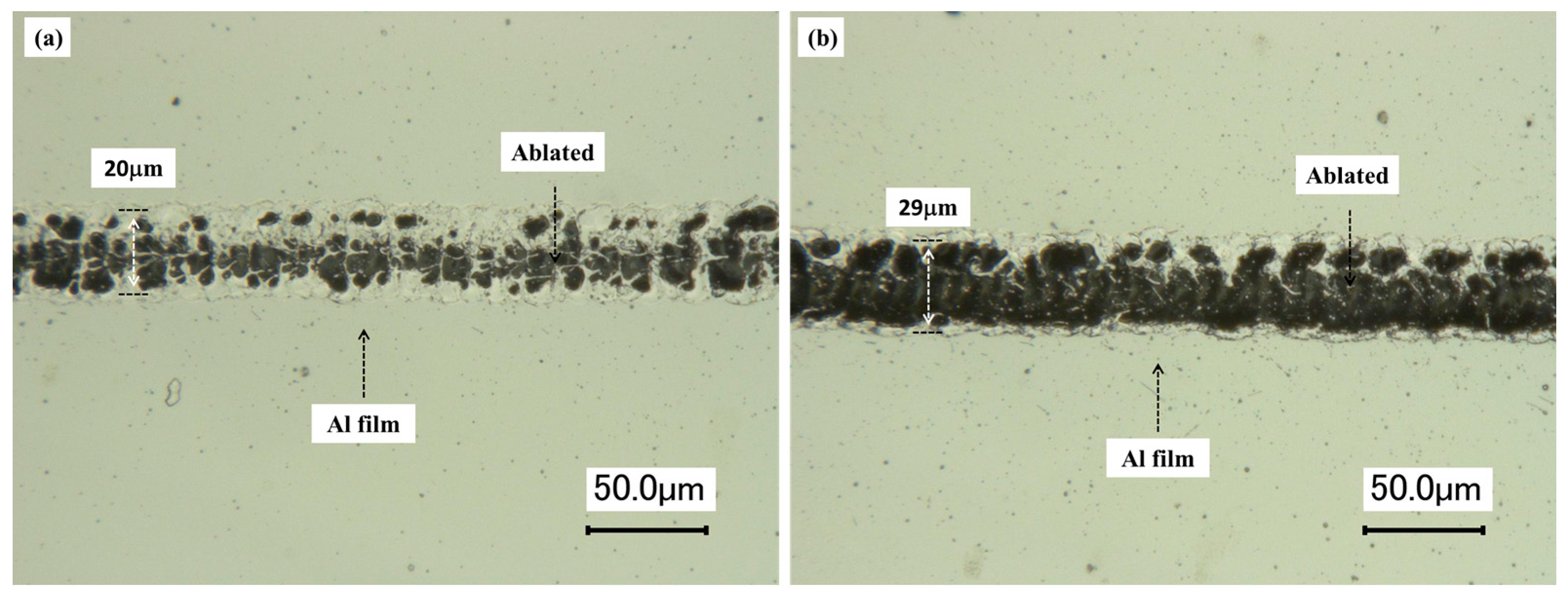 Micromachines 08 00136 g007