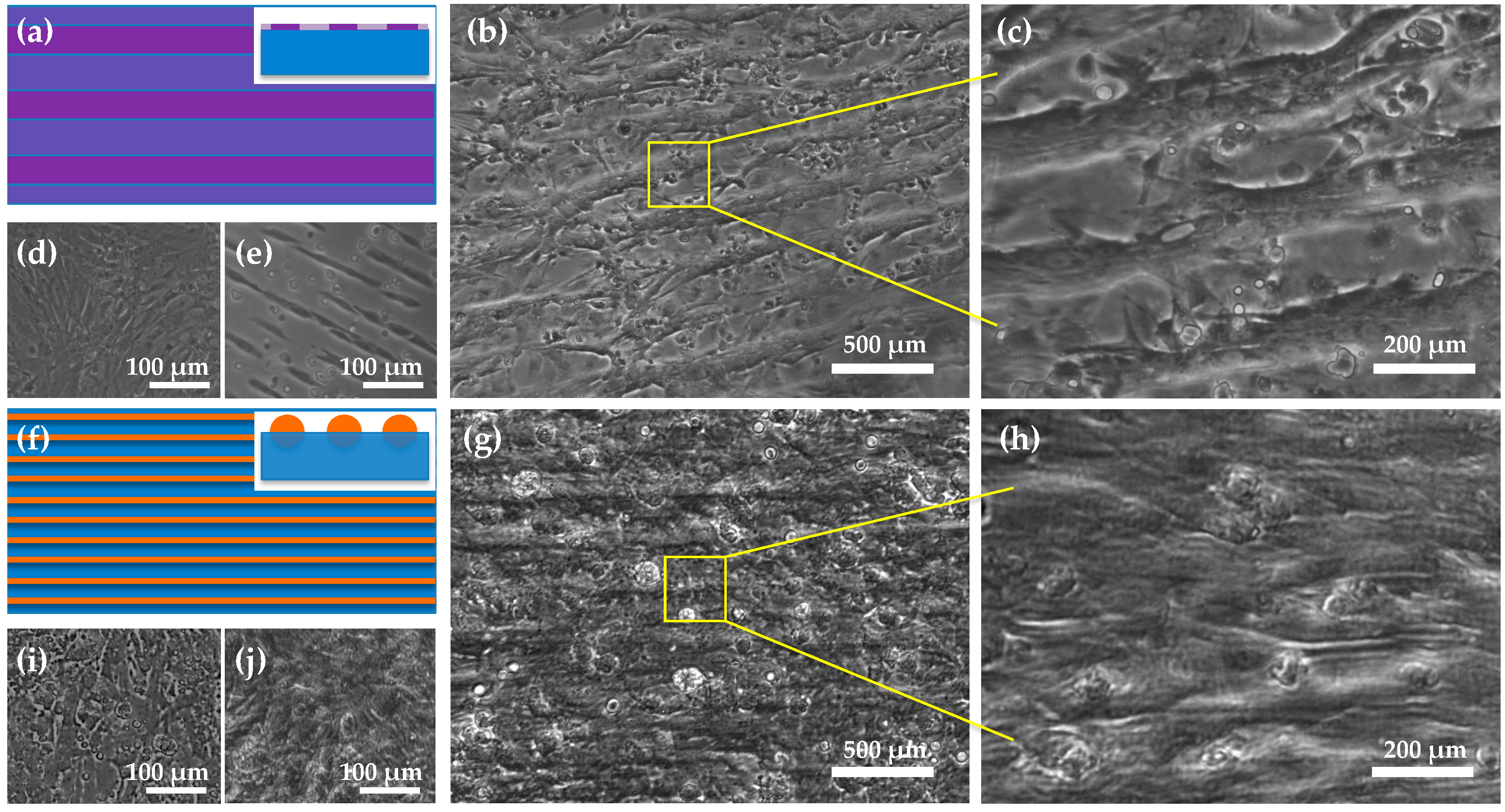 Micromachines 08 00147 g004