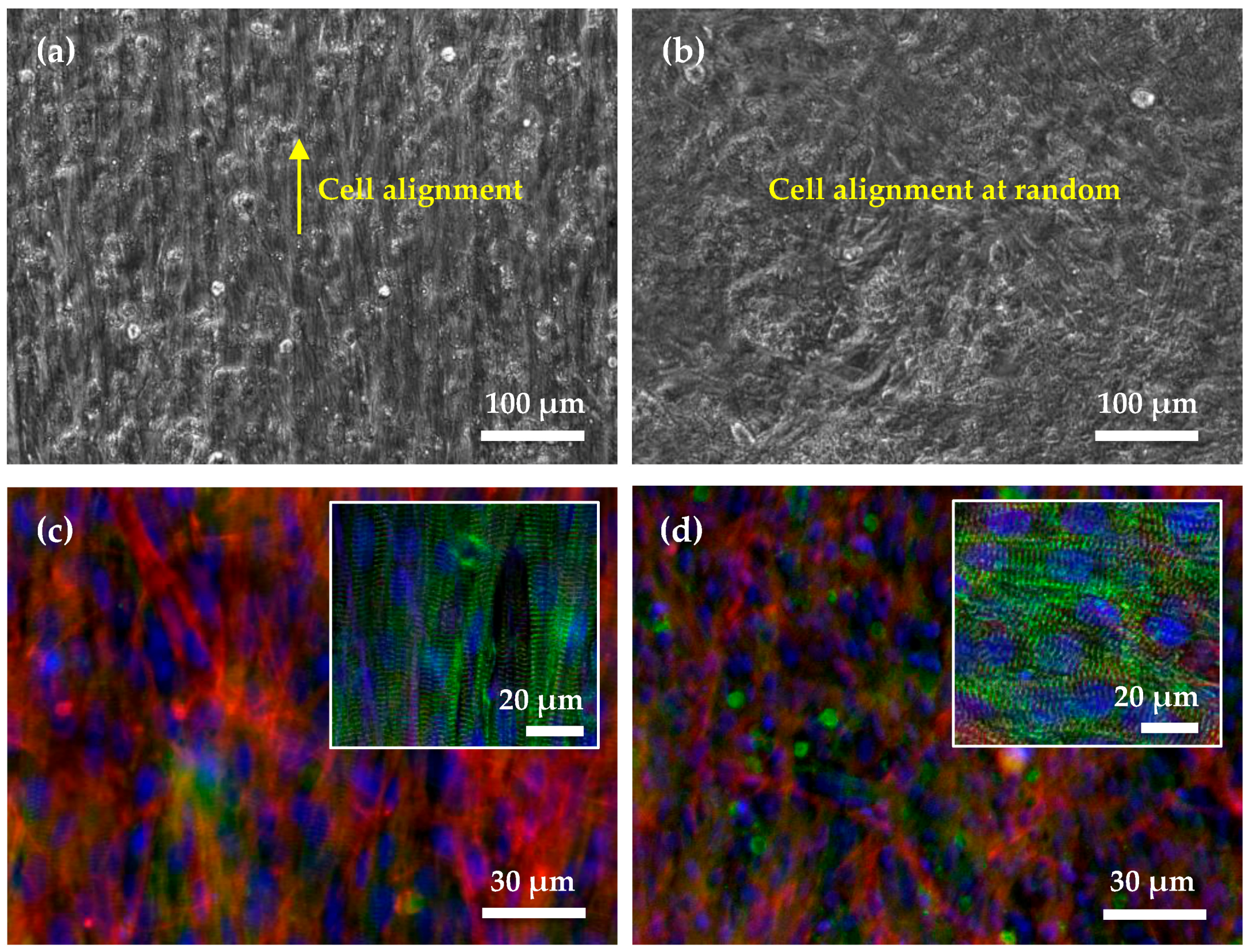 Micromachines 08 00147 g005