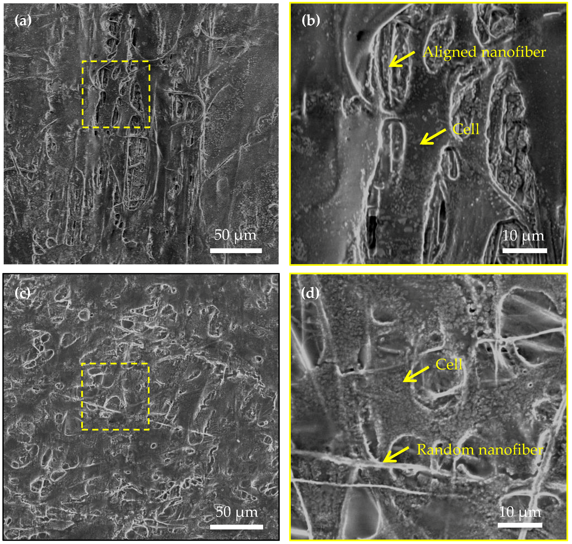 Micromachines 08 00147 g006