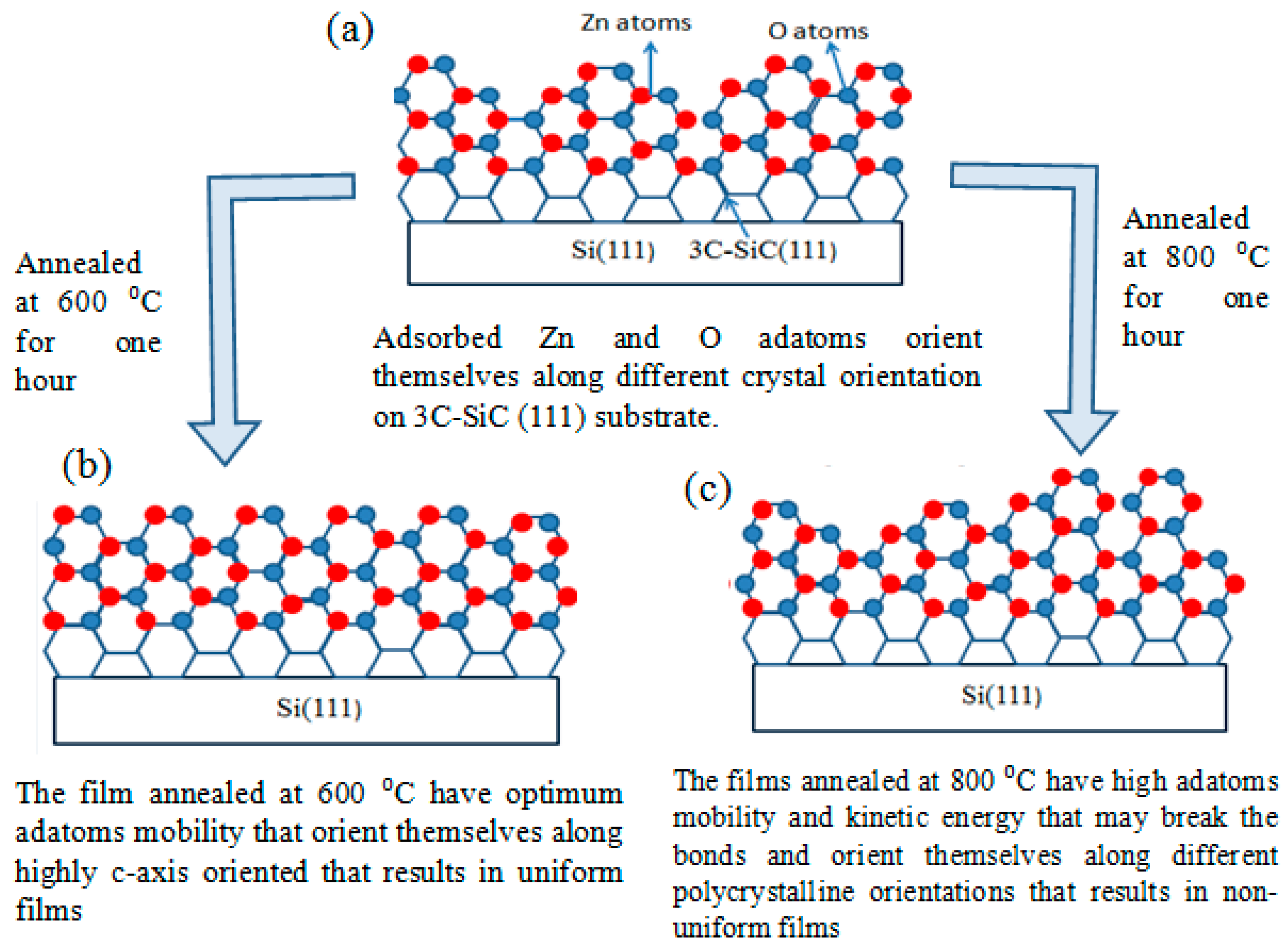 Micromachines 08 00148 g005