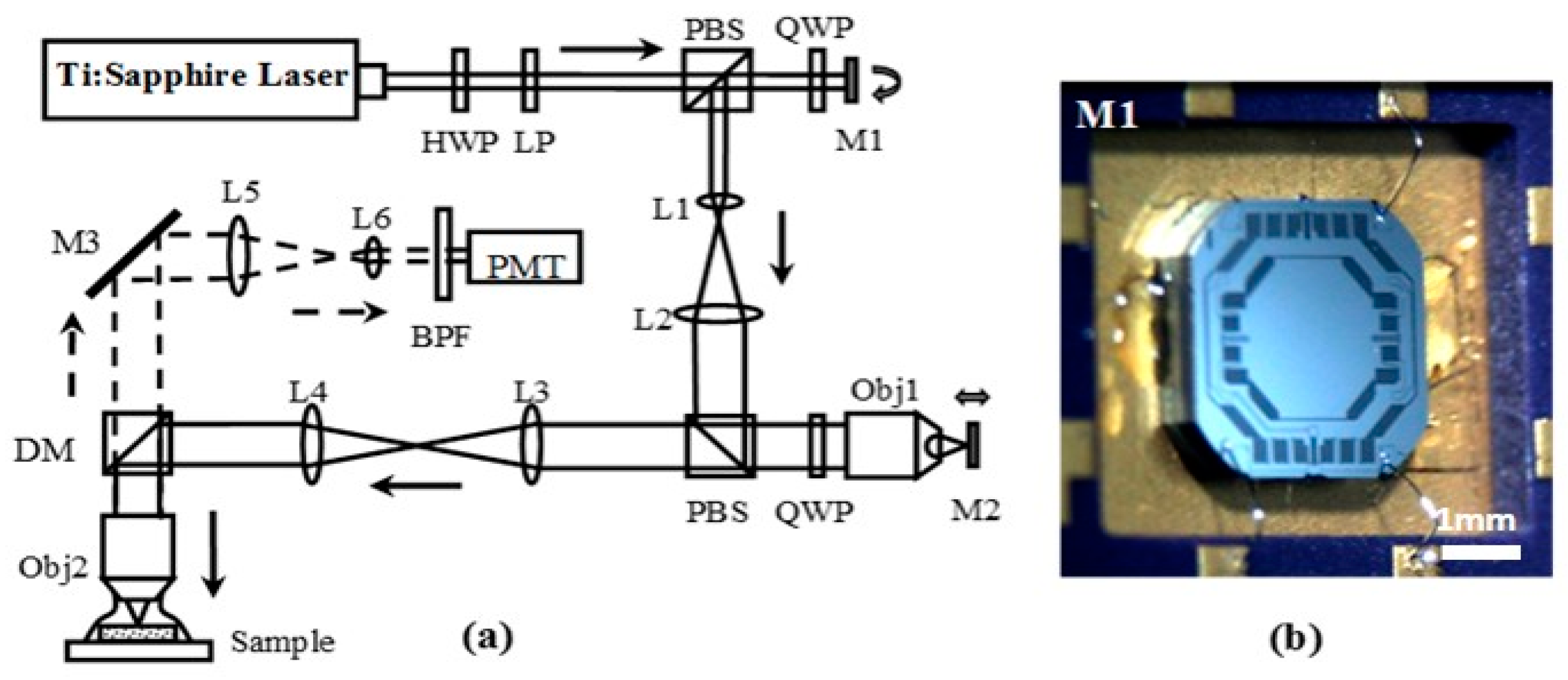 Micromachines 08 00159 g001