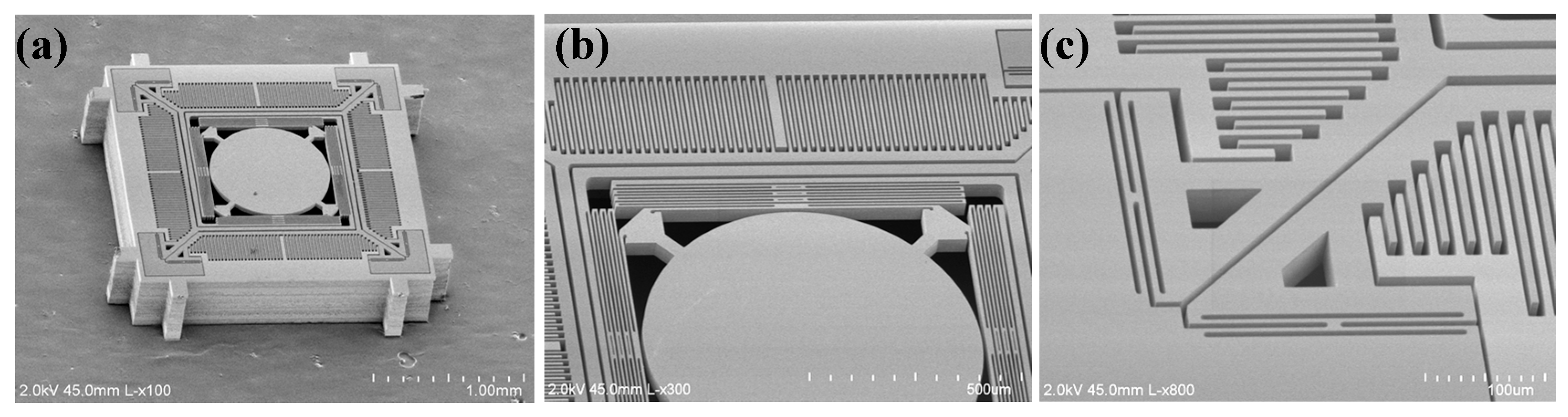 Micromachines 08 00159 g006