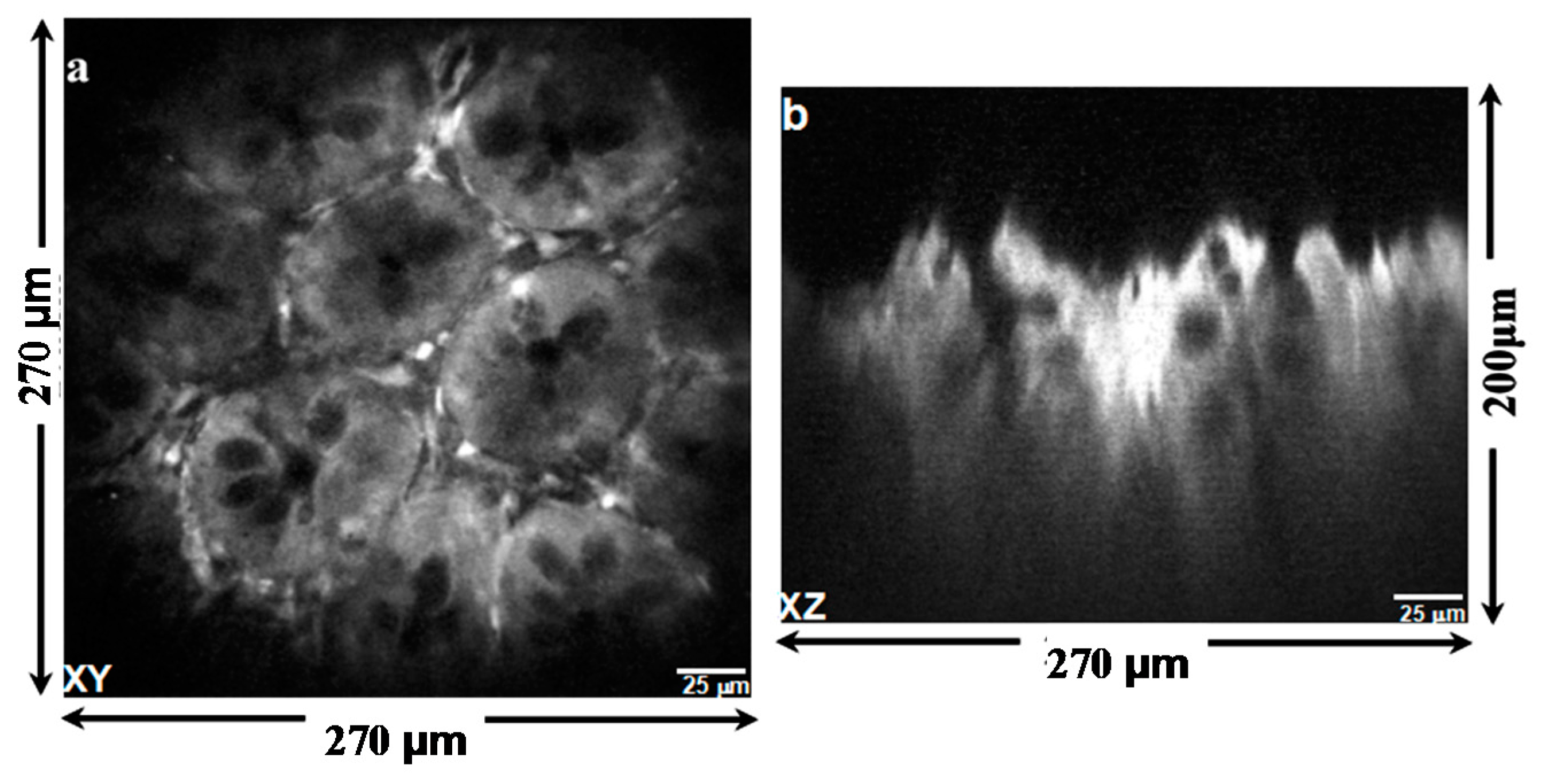 Micromachines 08 00159 g010