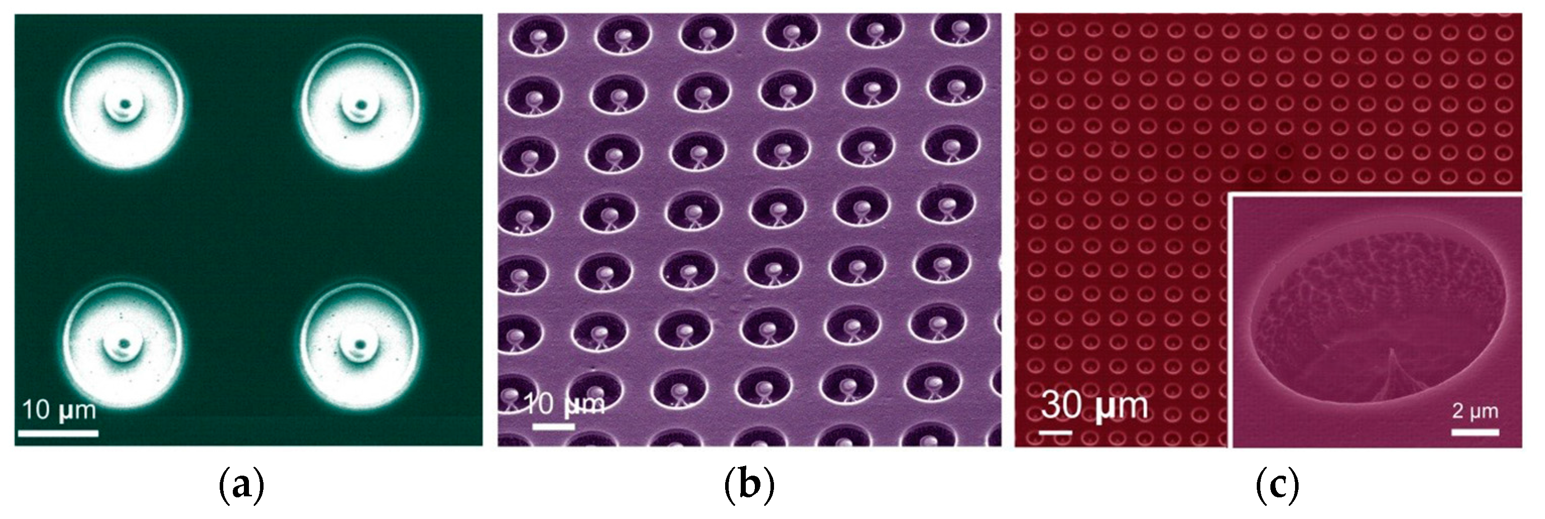 Micromachines 08 00162 g004