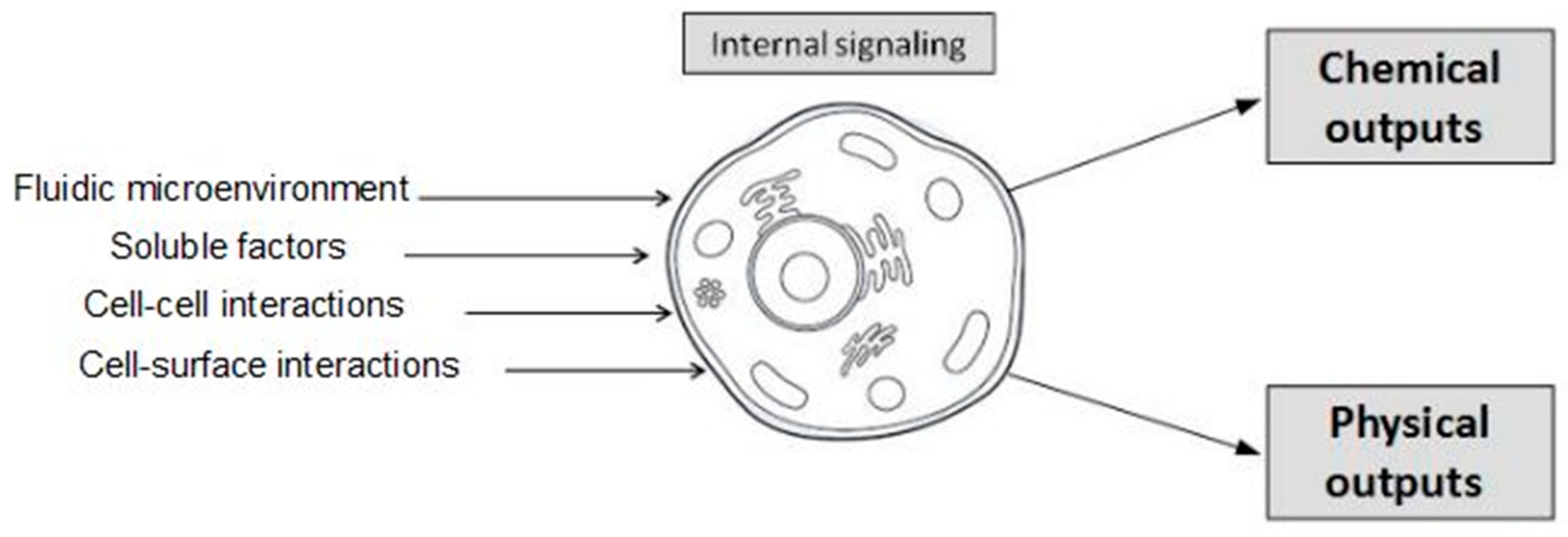 Micromachines 08 00166 g001