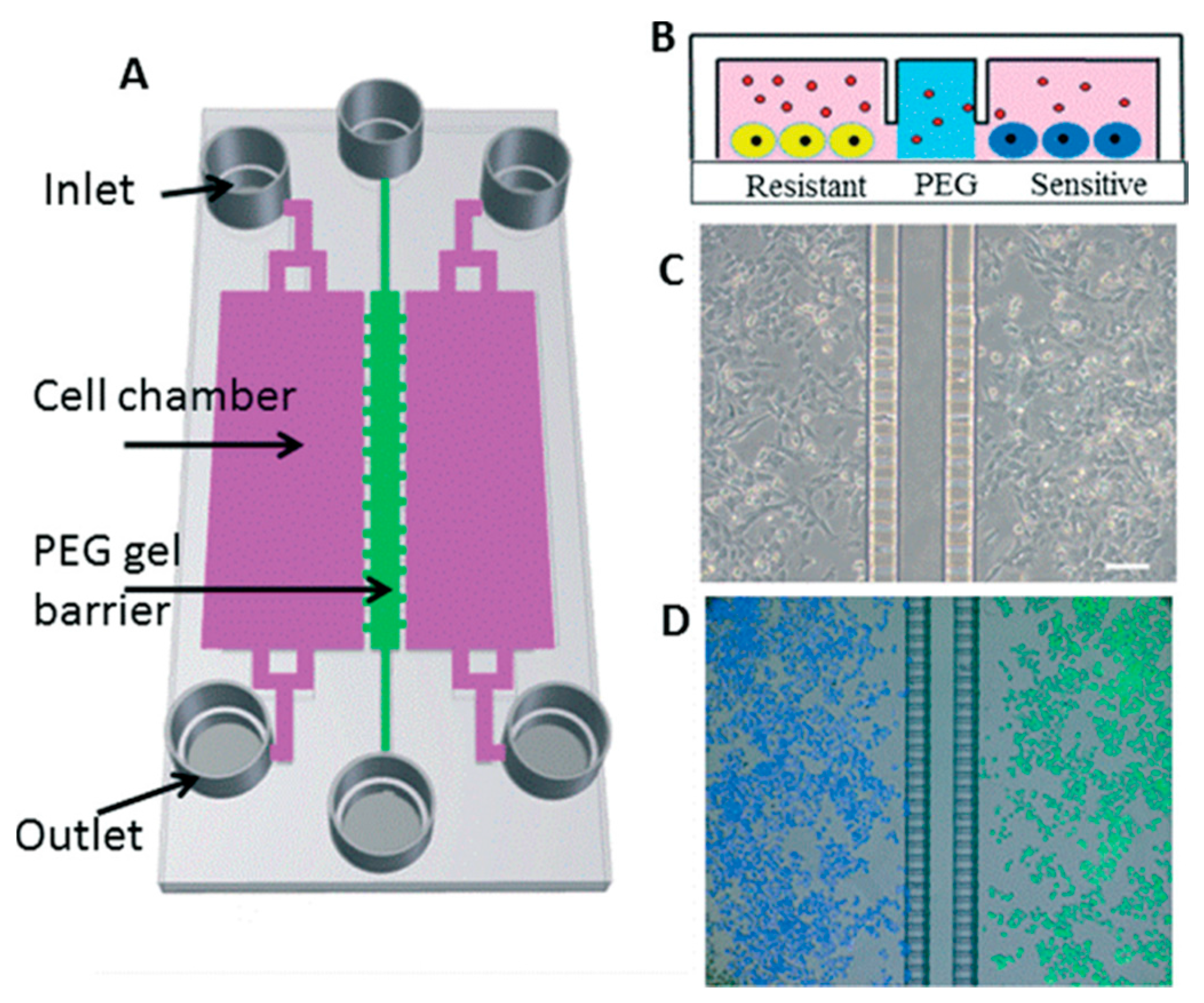 Micromachines 08 00166 g002