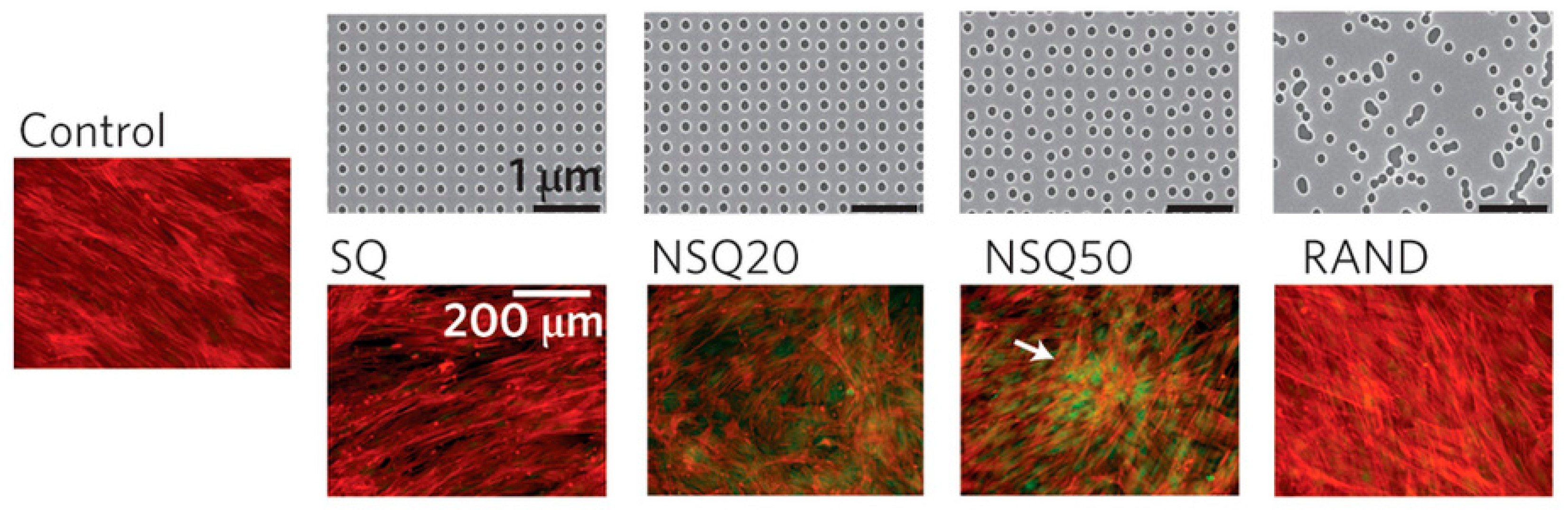 Micromachines 08 00166 g003