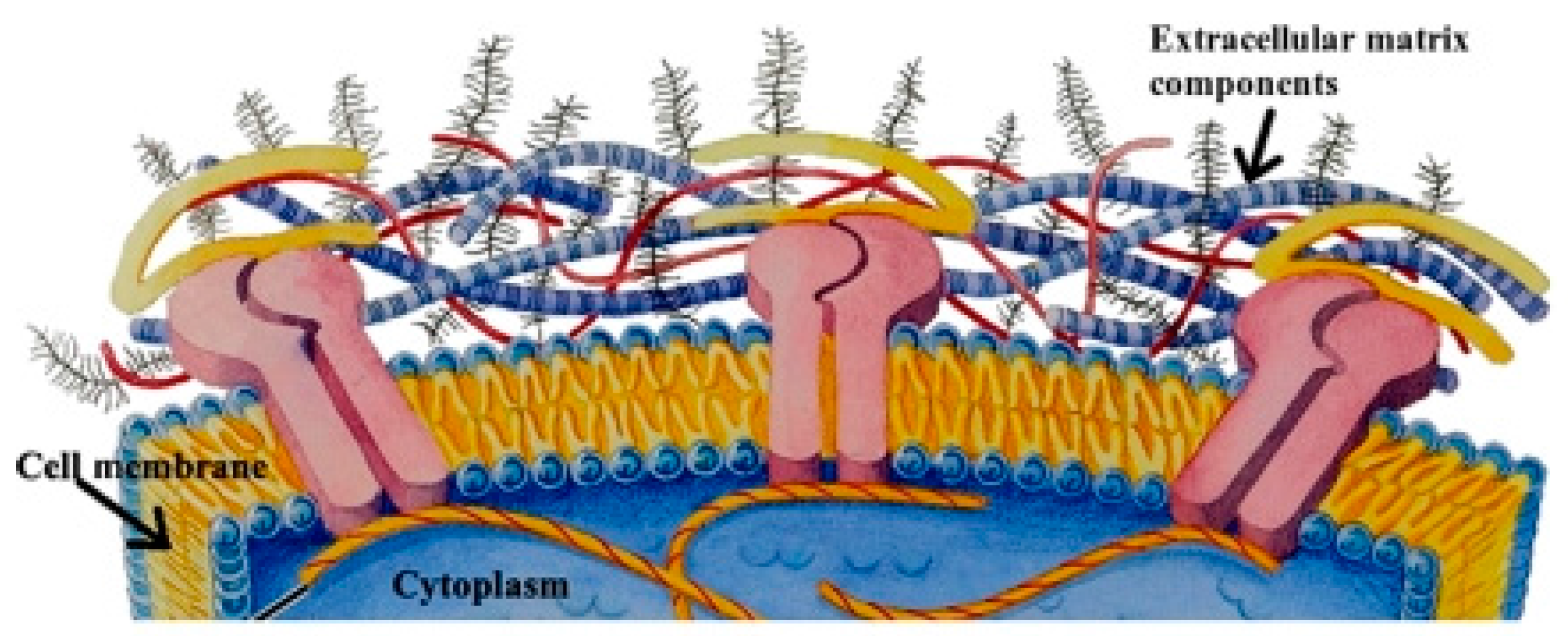 Micromachines 08 00166 g004