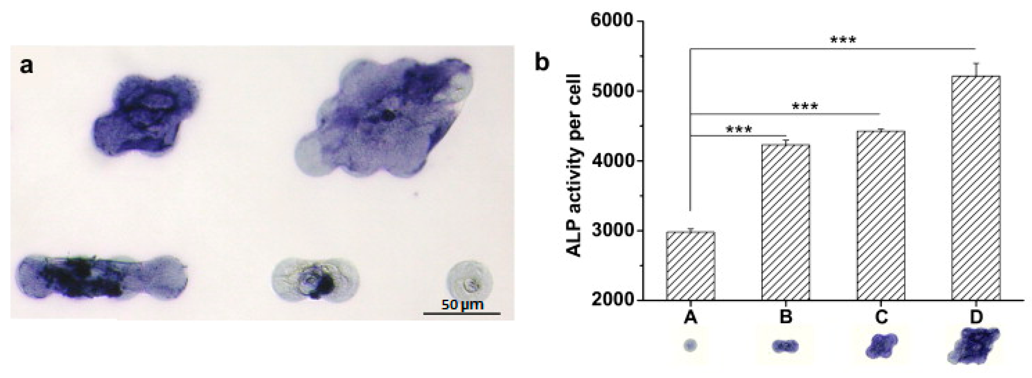Micromachines 08 00166 g005