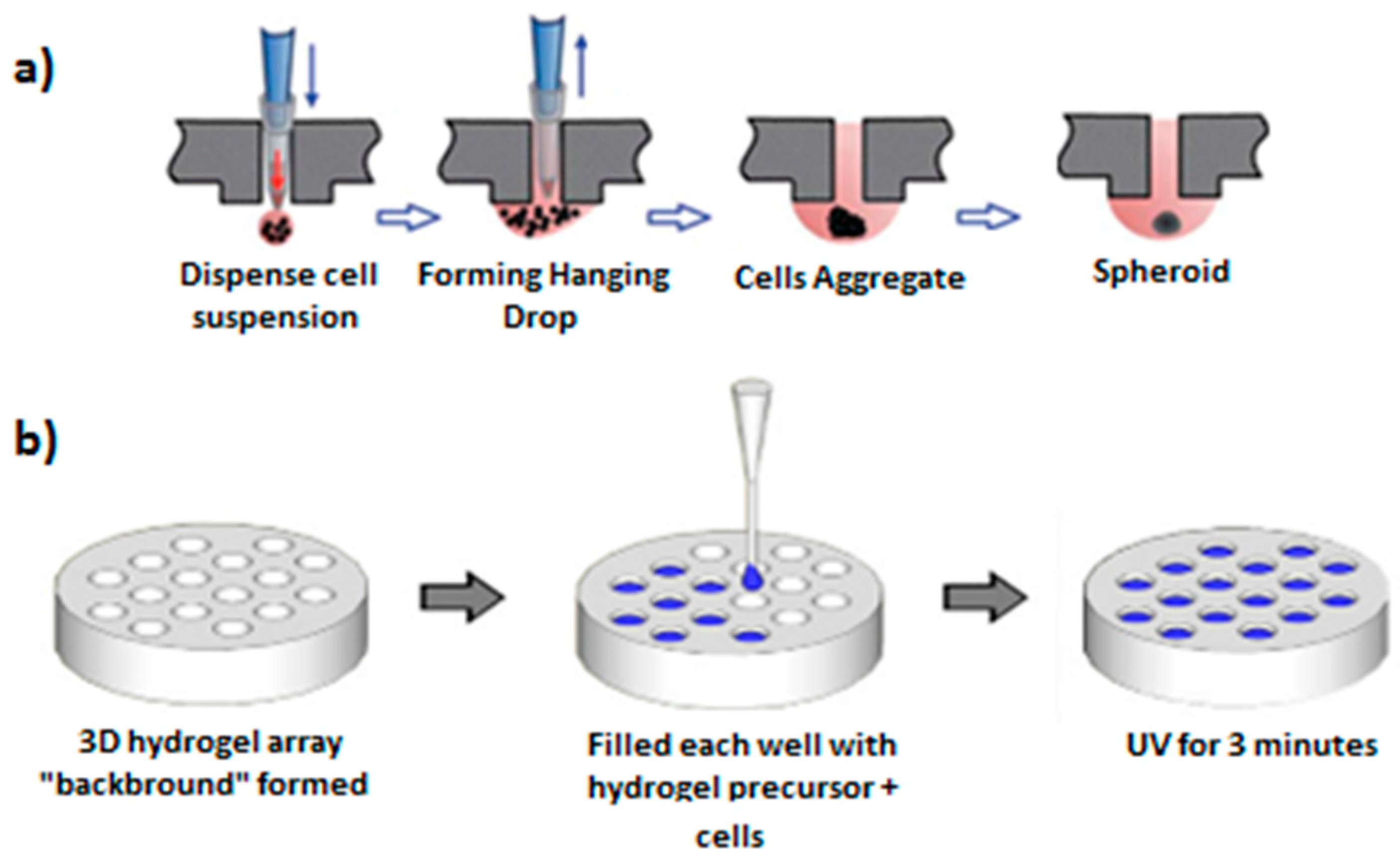 Micromachines 08 00166 g009