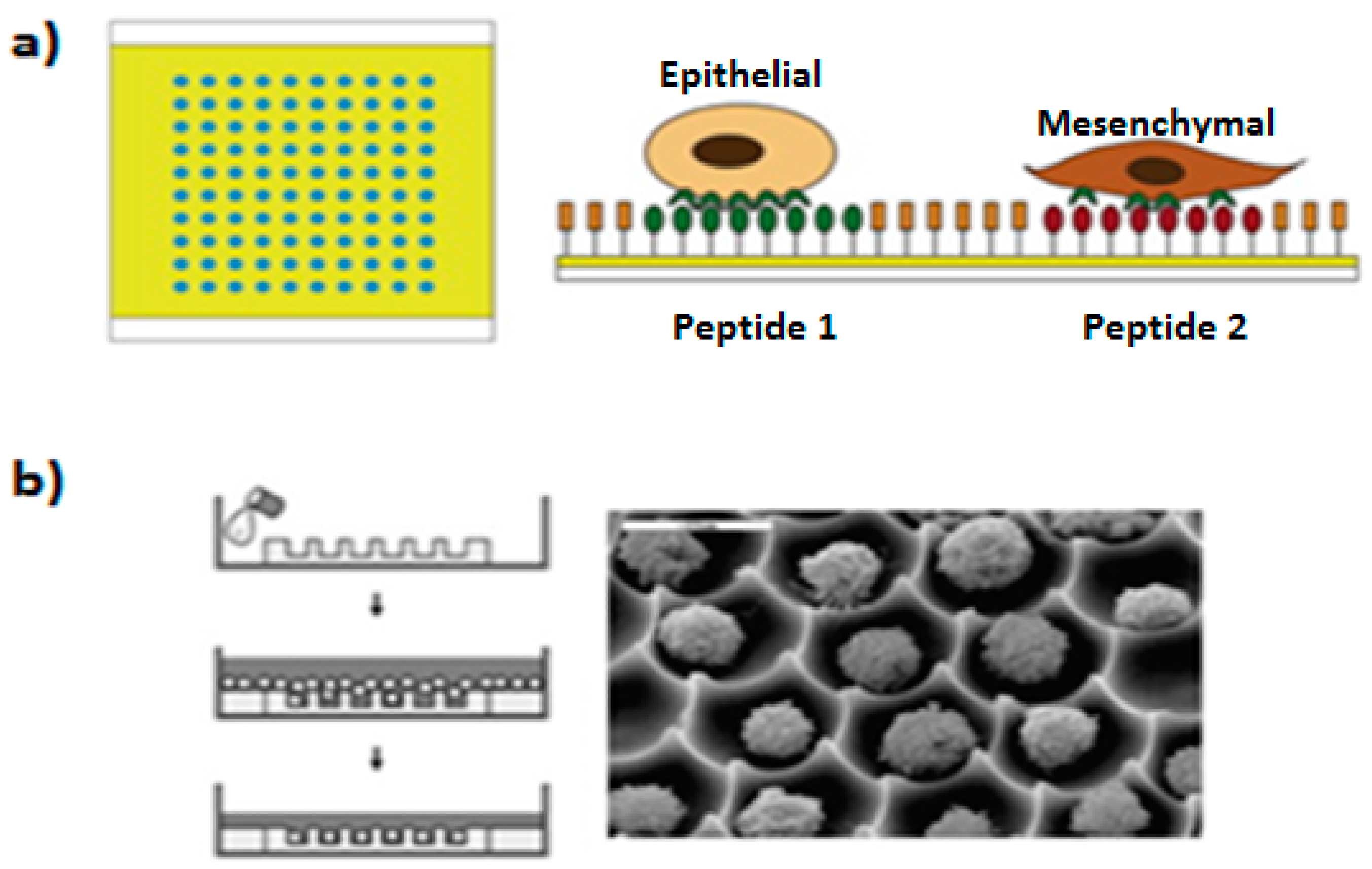 Micromachines 08 00166 g010