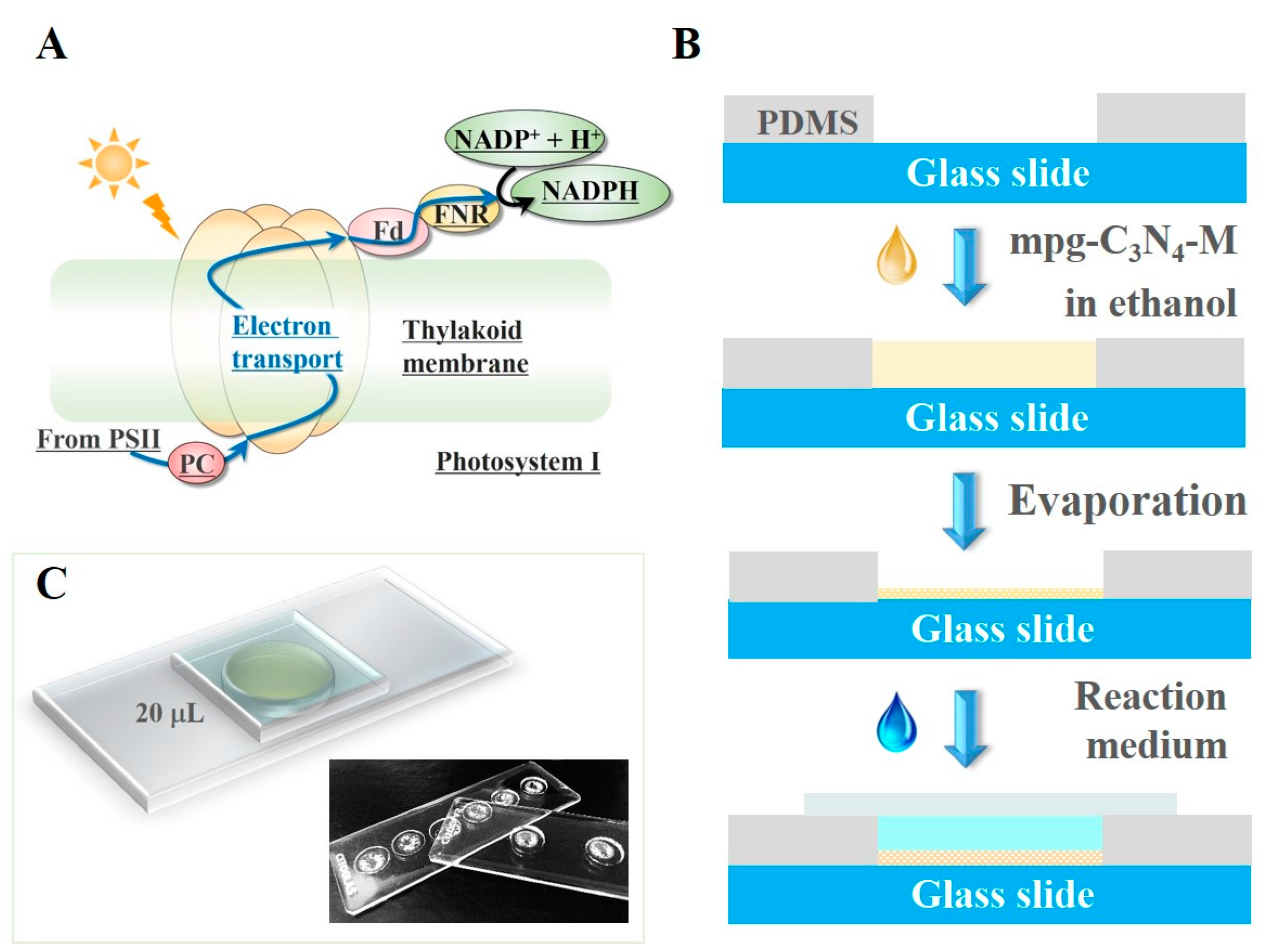 Micromachines 08 00175 g001