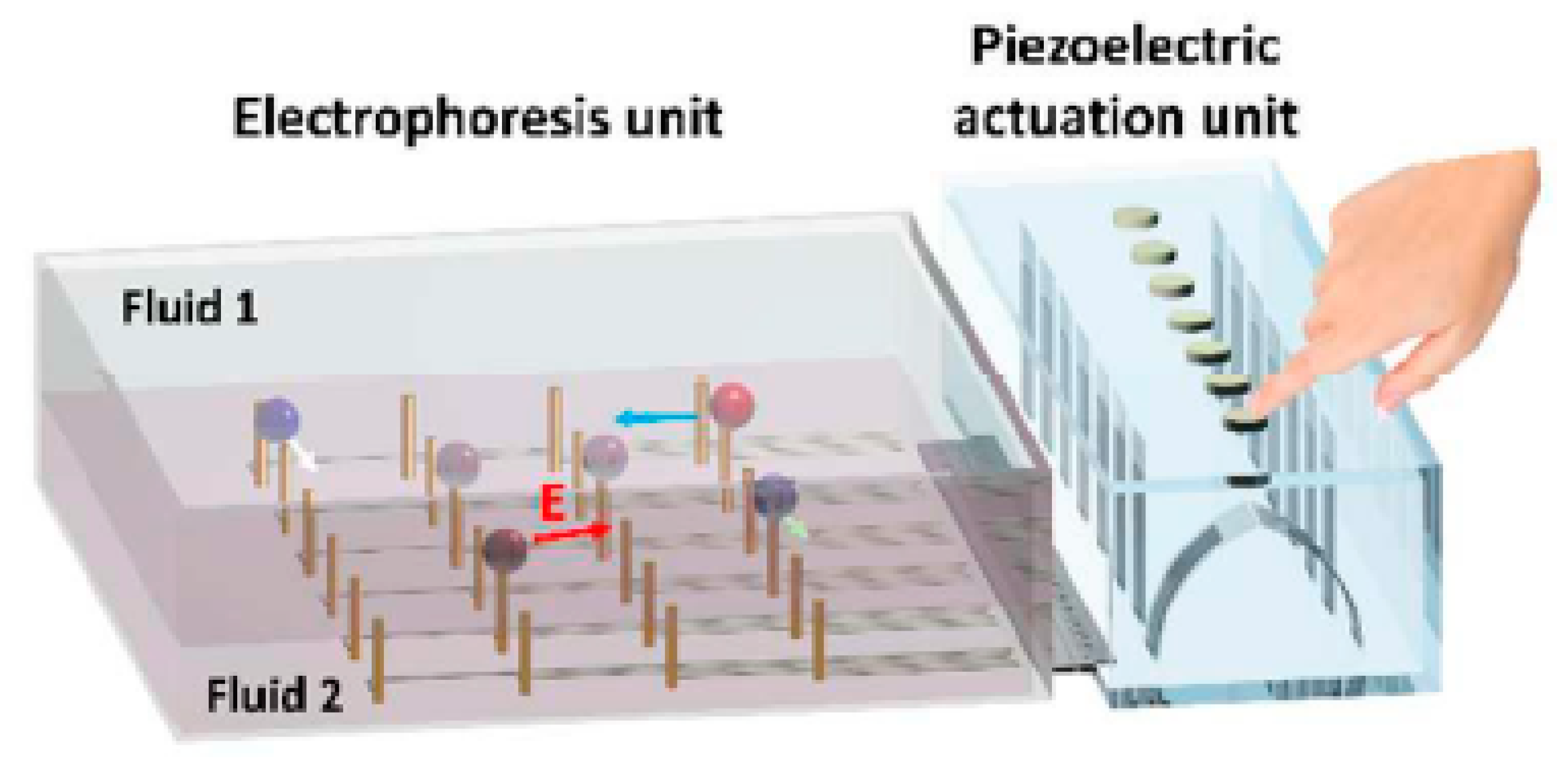 Micromachines 08 00186 g010