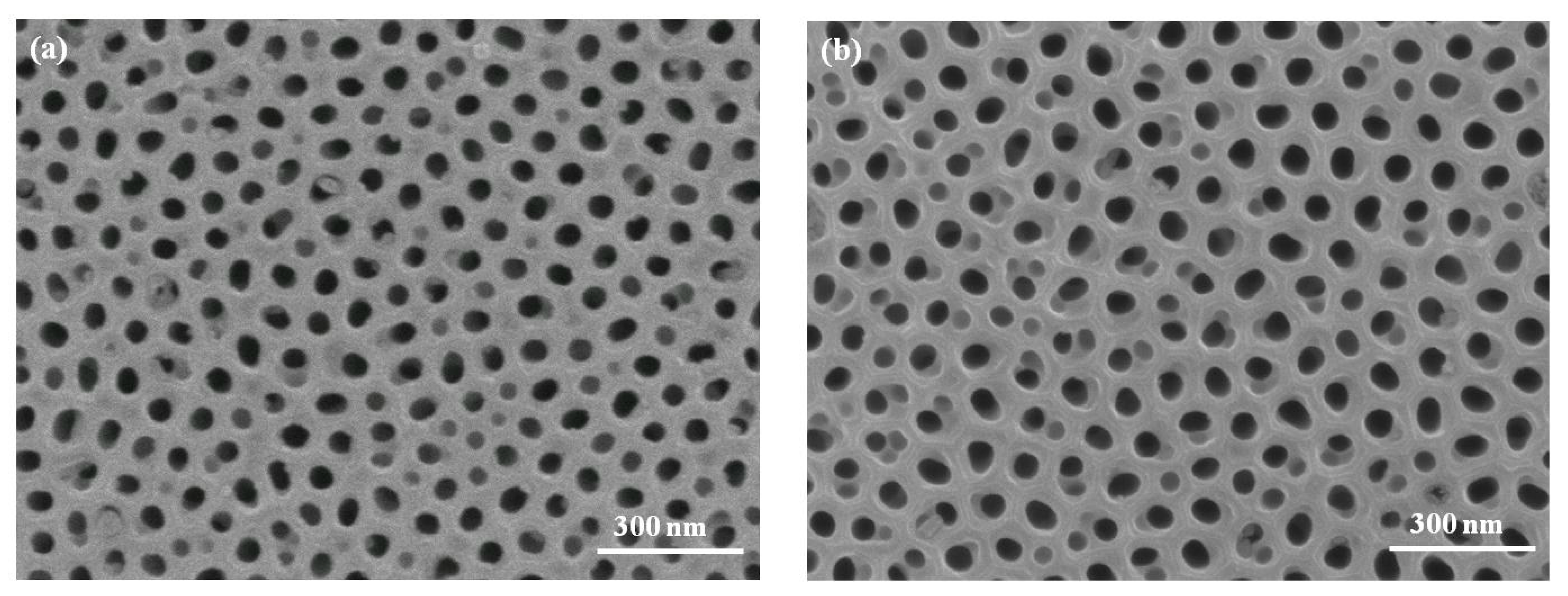 Micromachines 08 00206 g001a