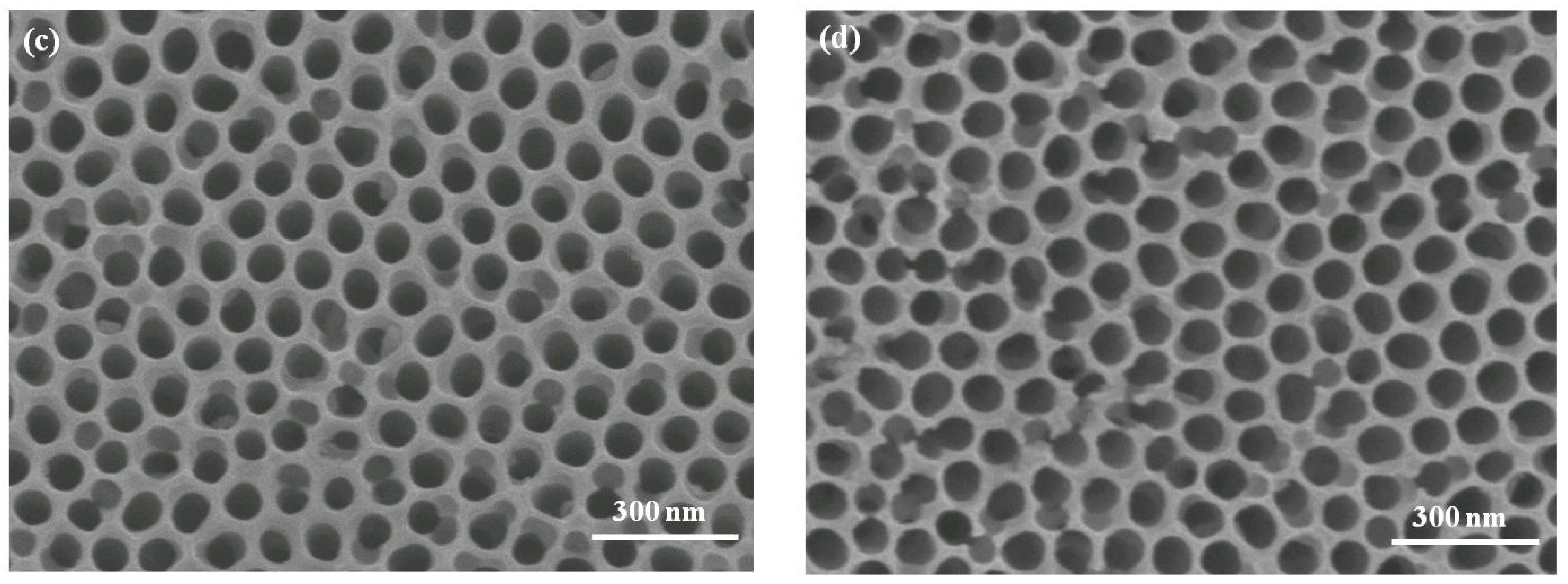 Micromachines 08 00206 g001b