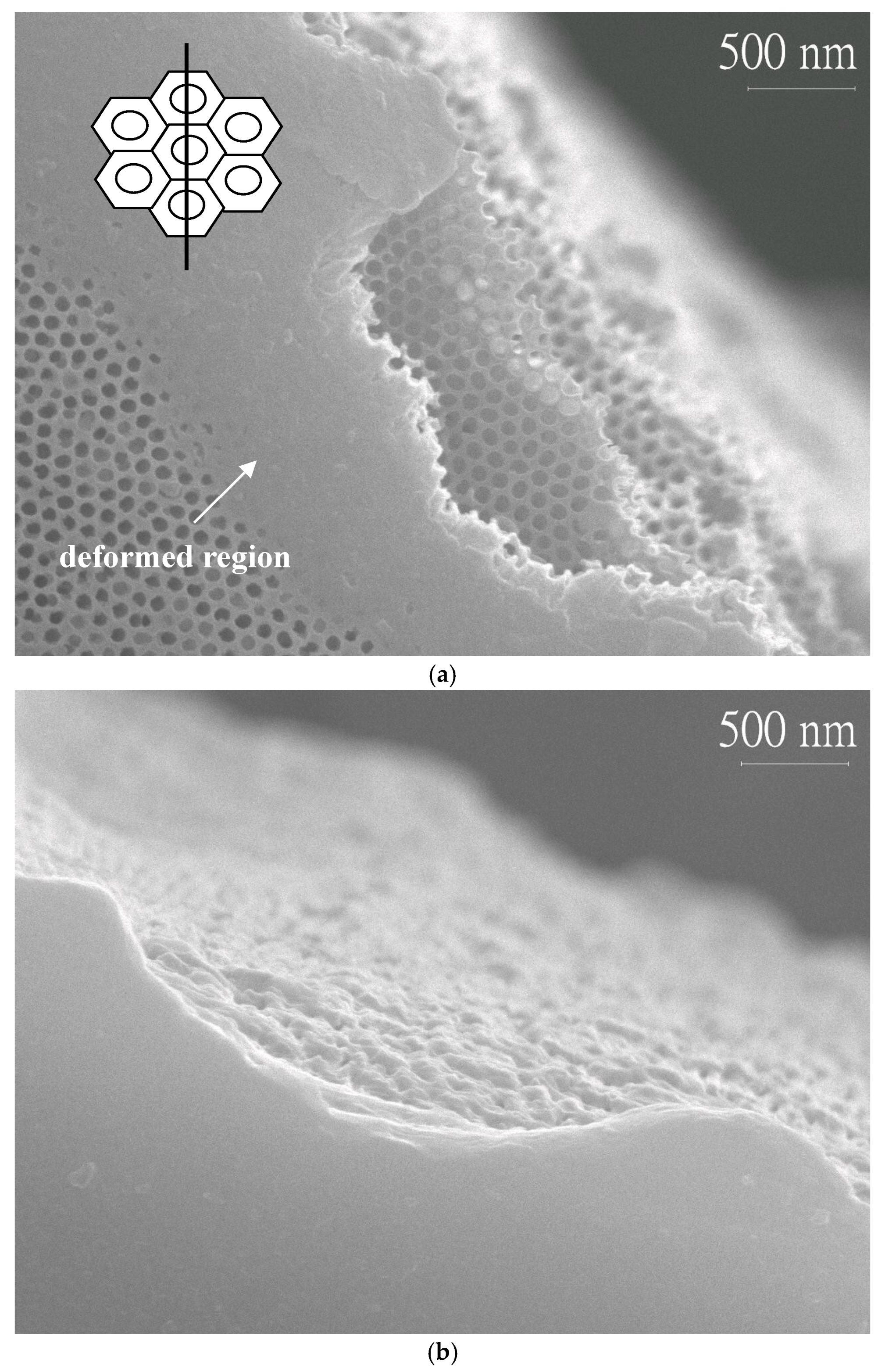 Micromachines 08 00206 g004
