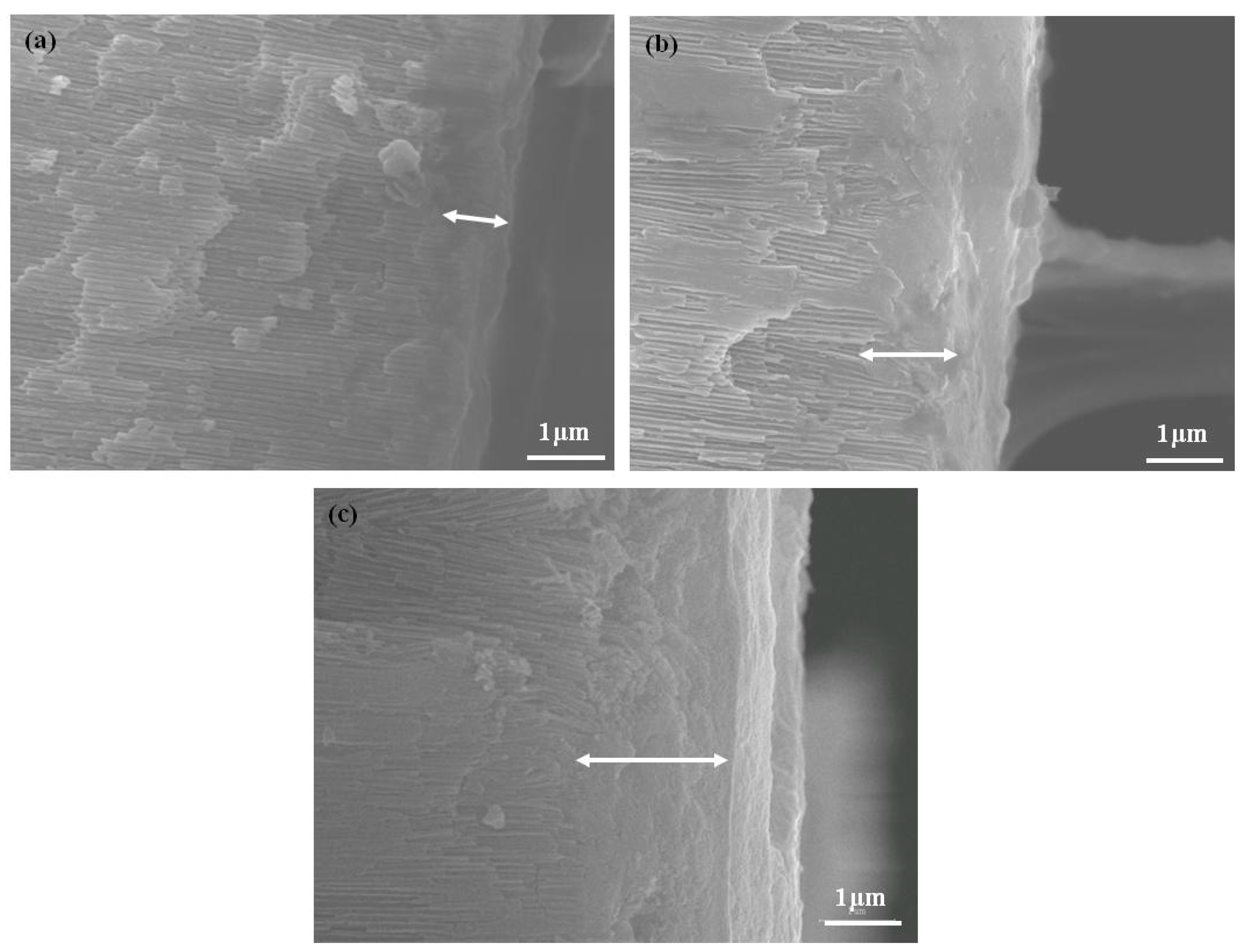 Micromachines 08 00206 g005