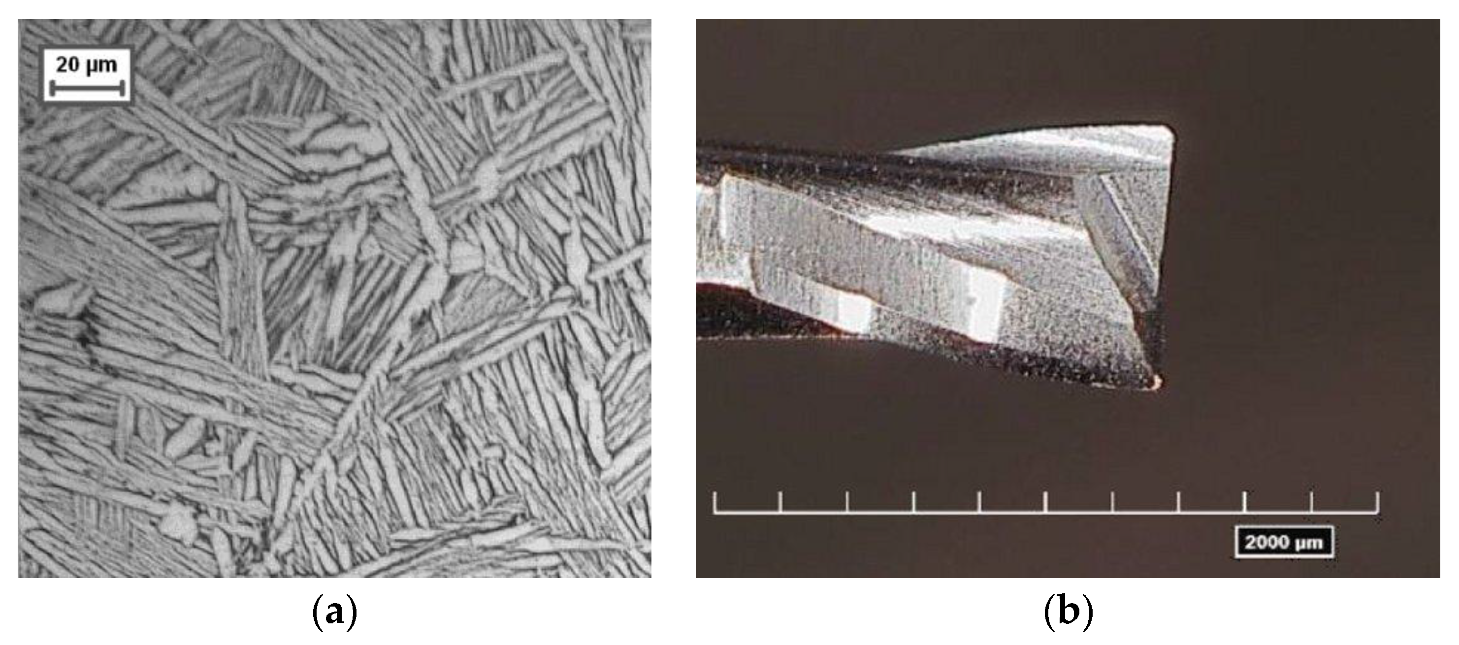 Micromachines 08 00221 g008