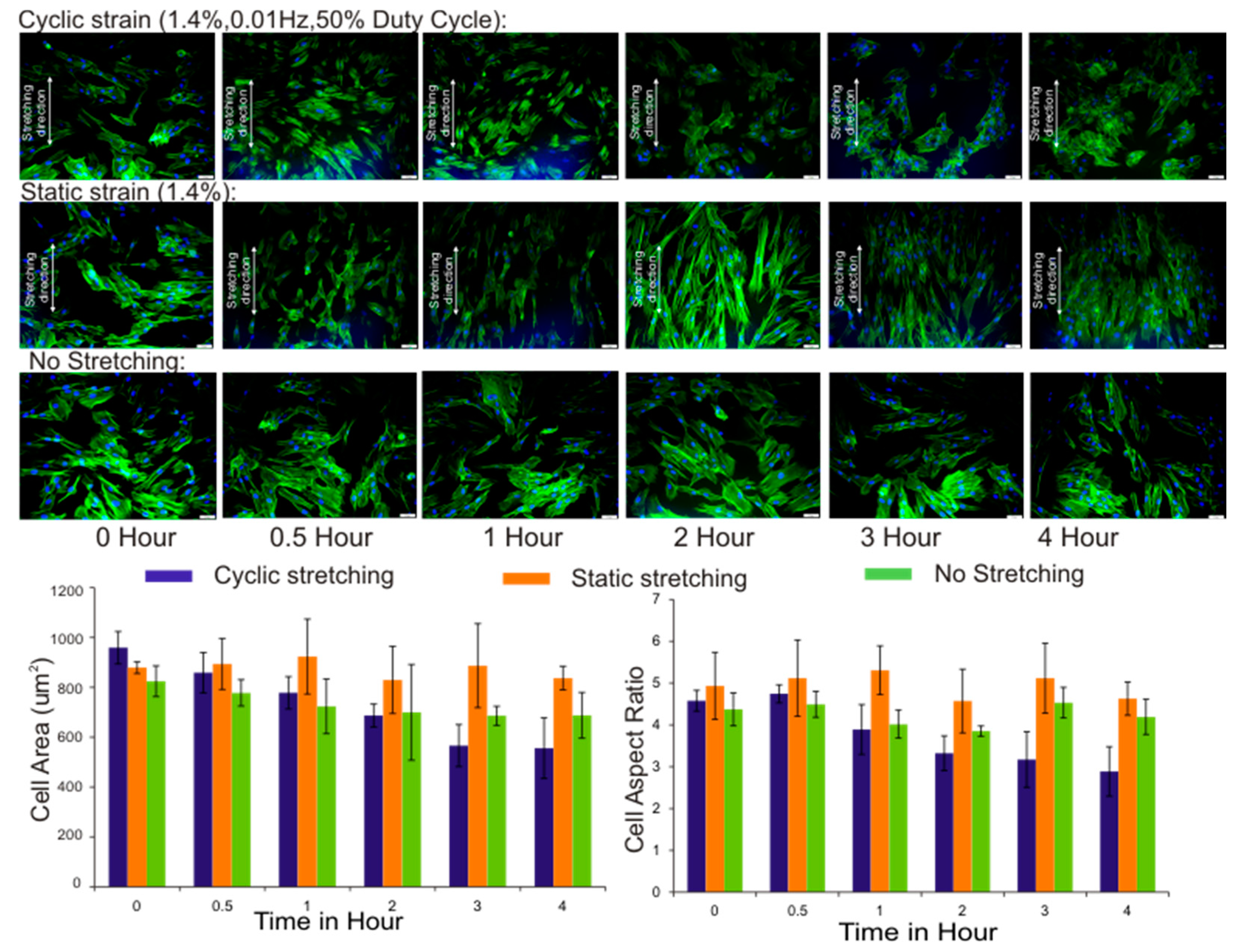 Micromachines 08 00256 g006 Micromachines 08 00256 g006
