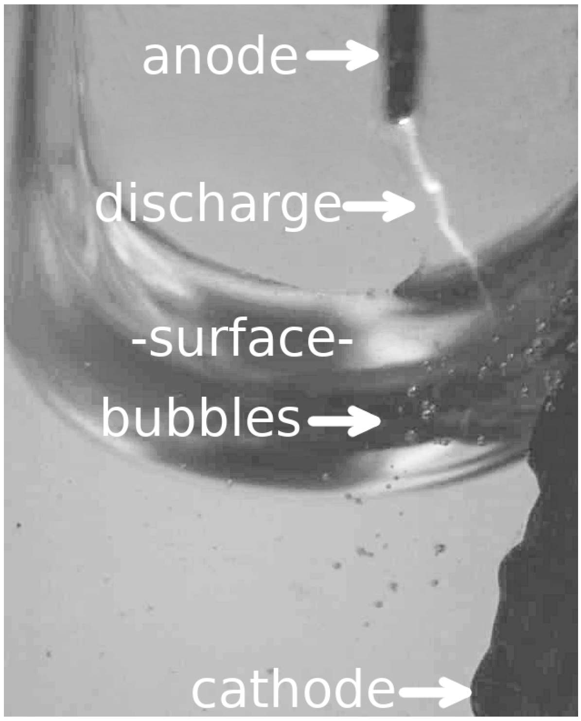 Micromachines 08 00259 g002