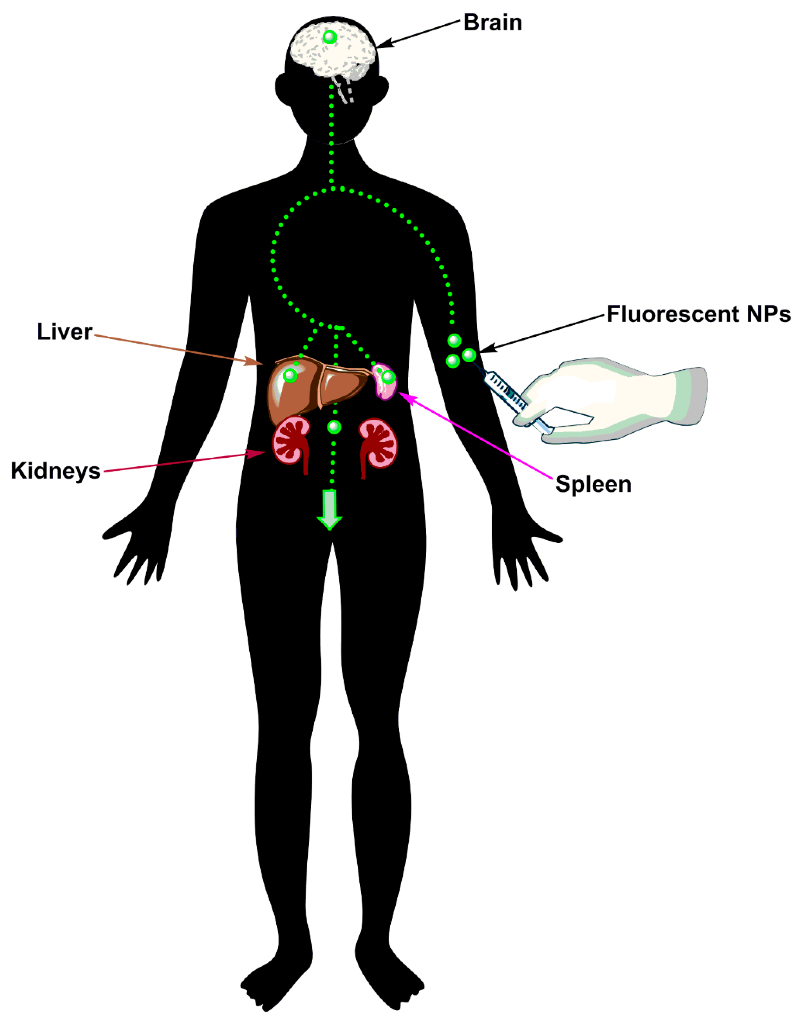 Micromachines 08 00262 g001