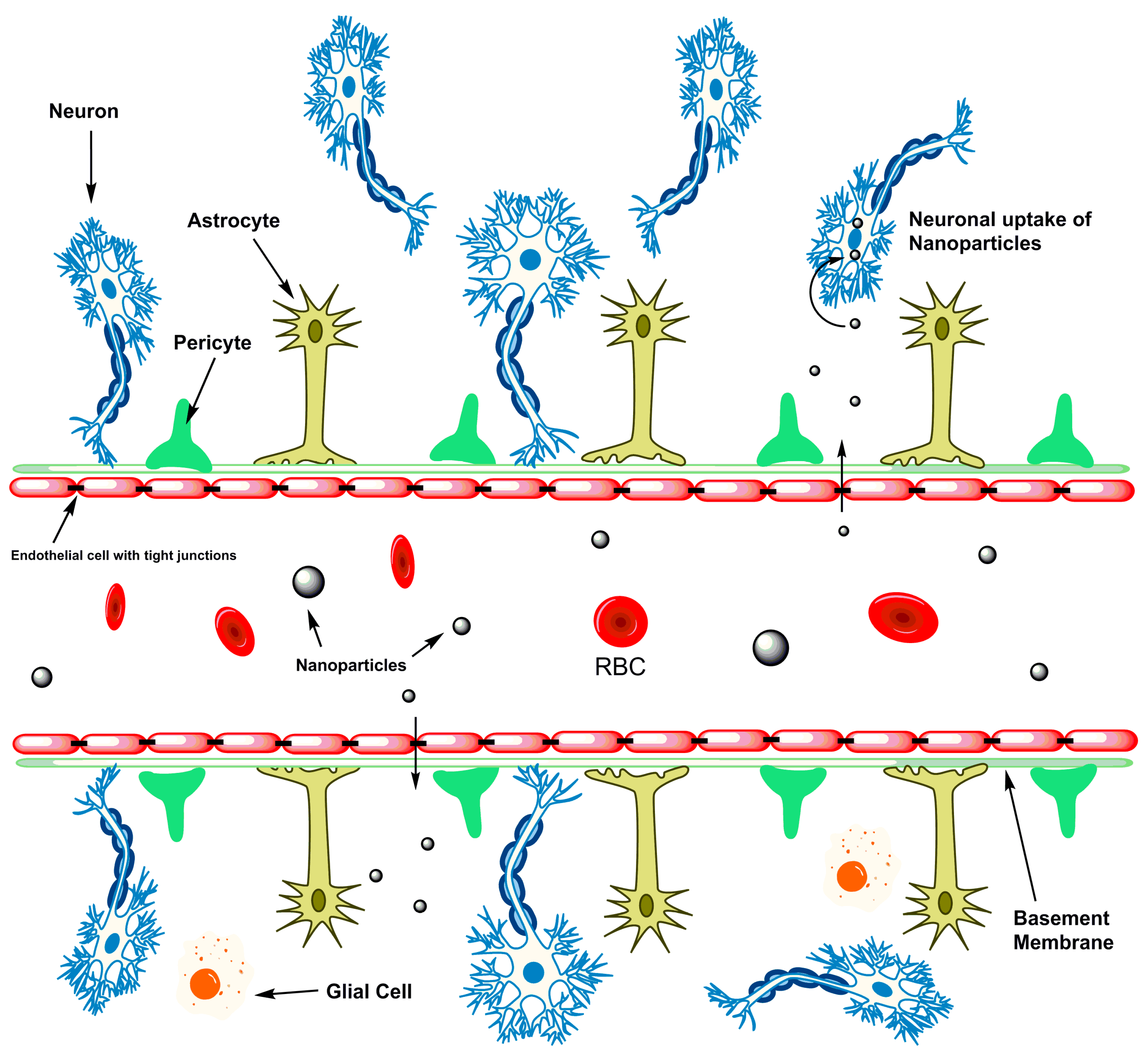 Micromachines 08 00262 g003