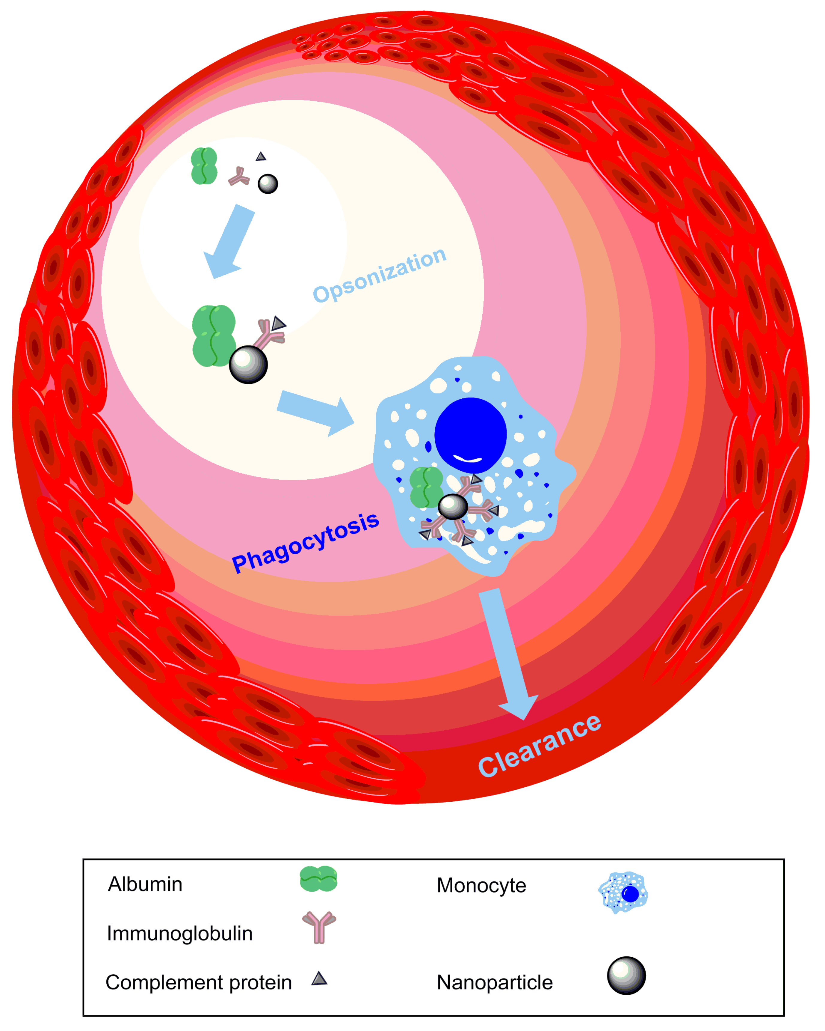 Micromachines 08 00262 g004