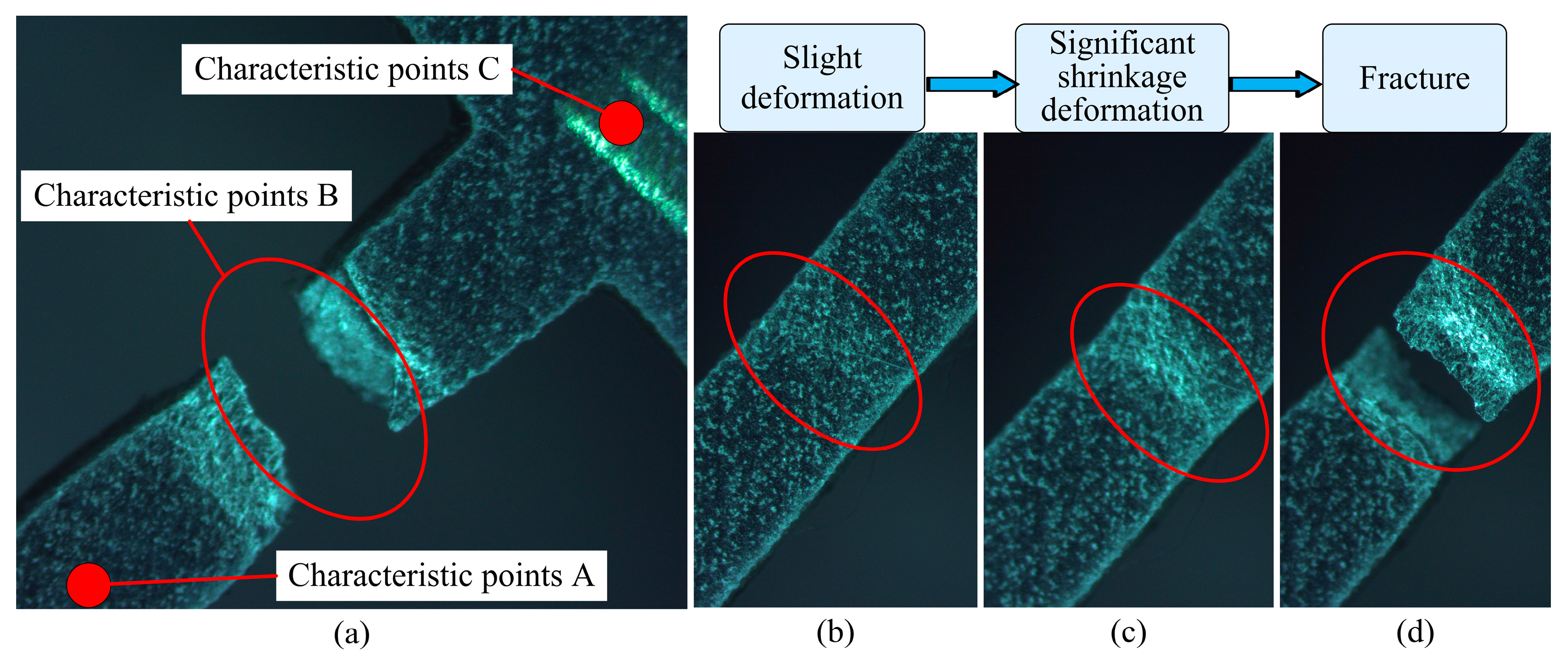 Micromachines 08 00286 g013