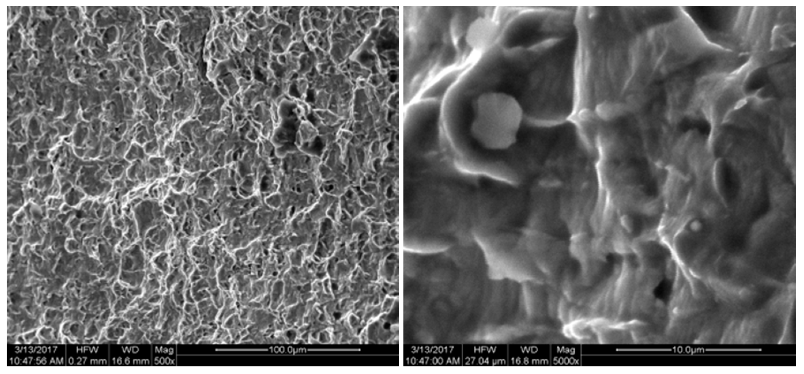 Micromachines 08 00286 g015