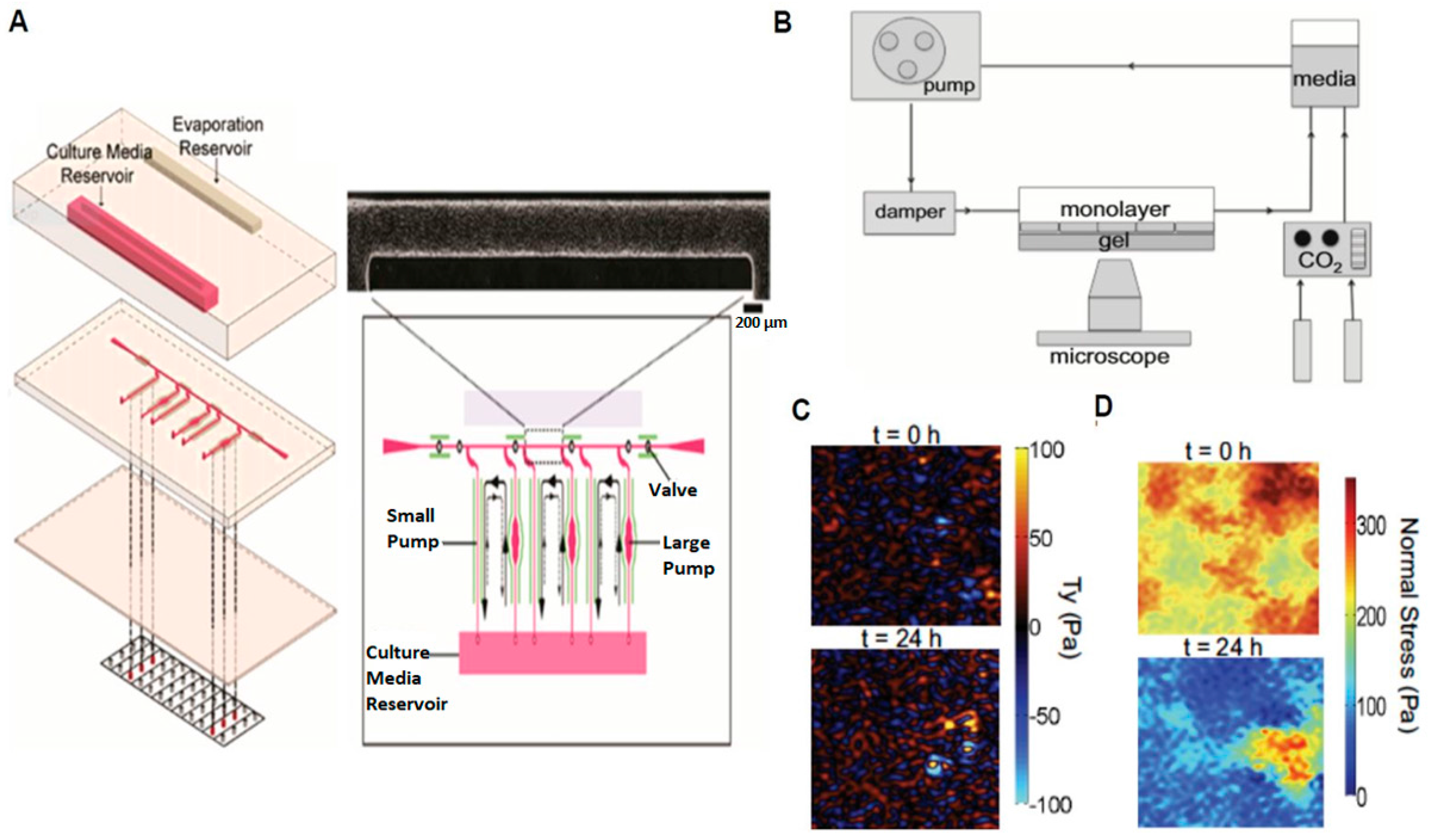Micromachines 08 00299 g001