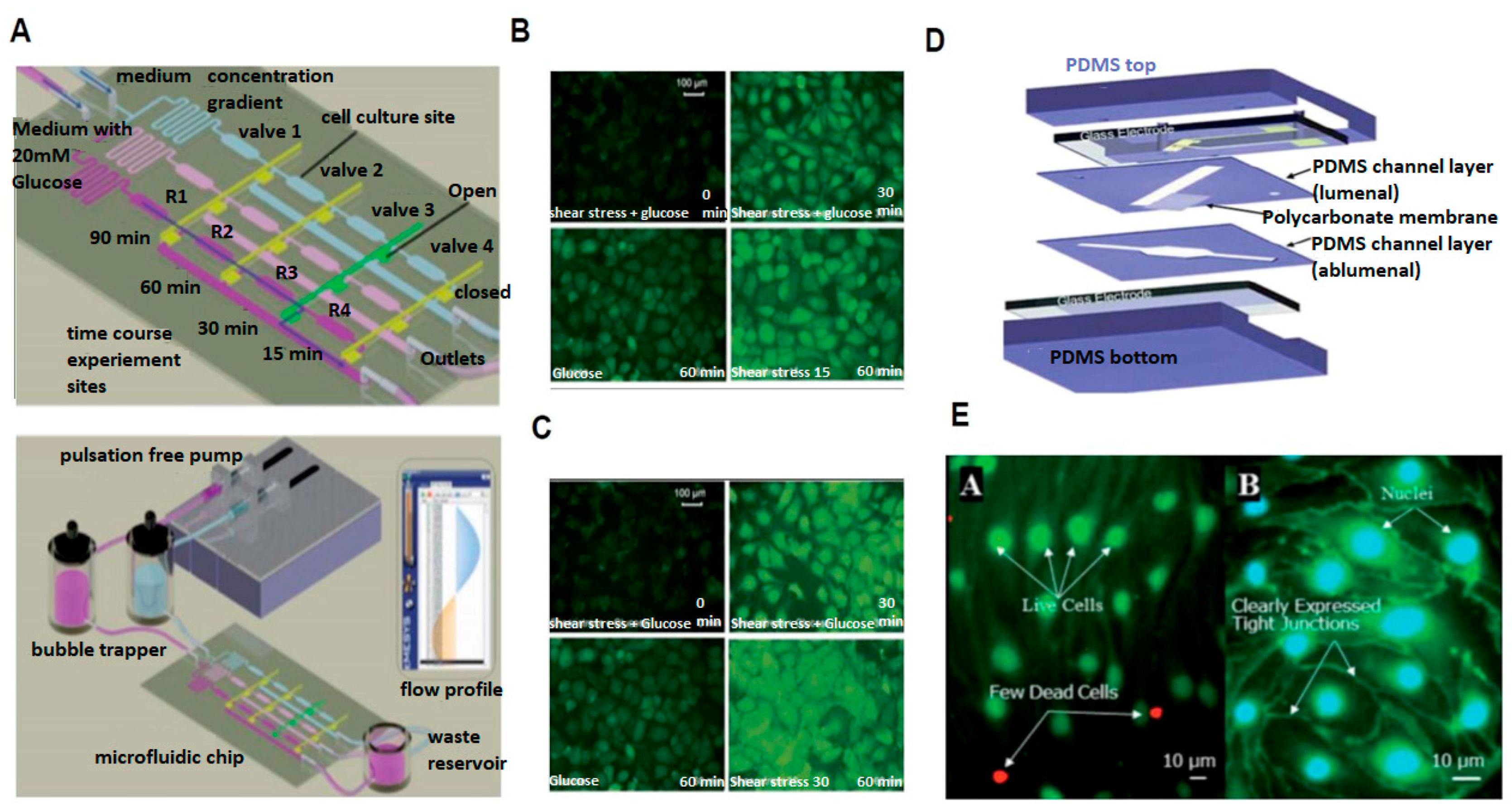 Micromachines 08 00299 g002