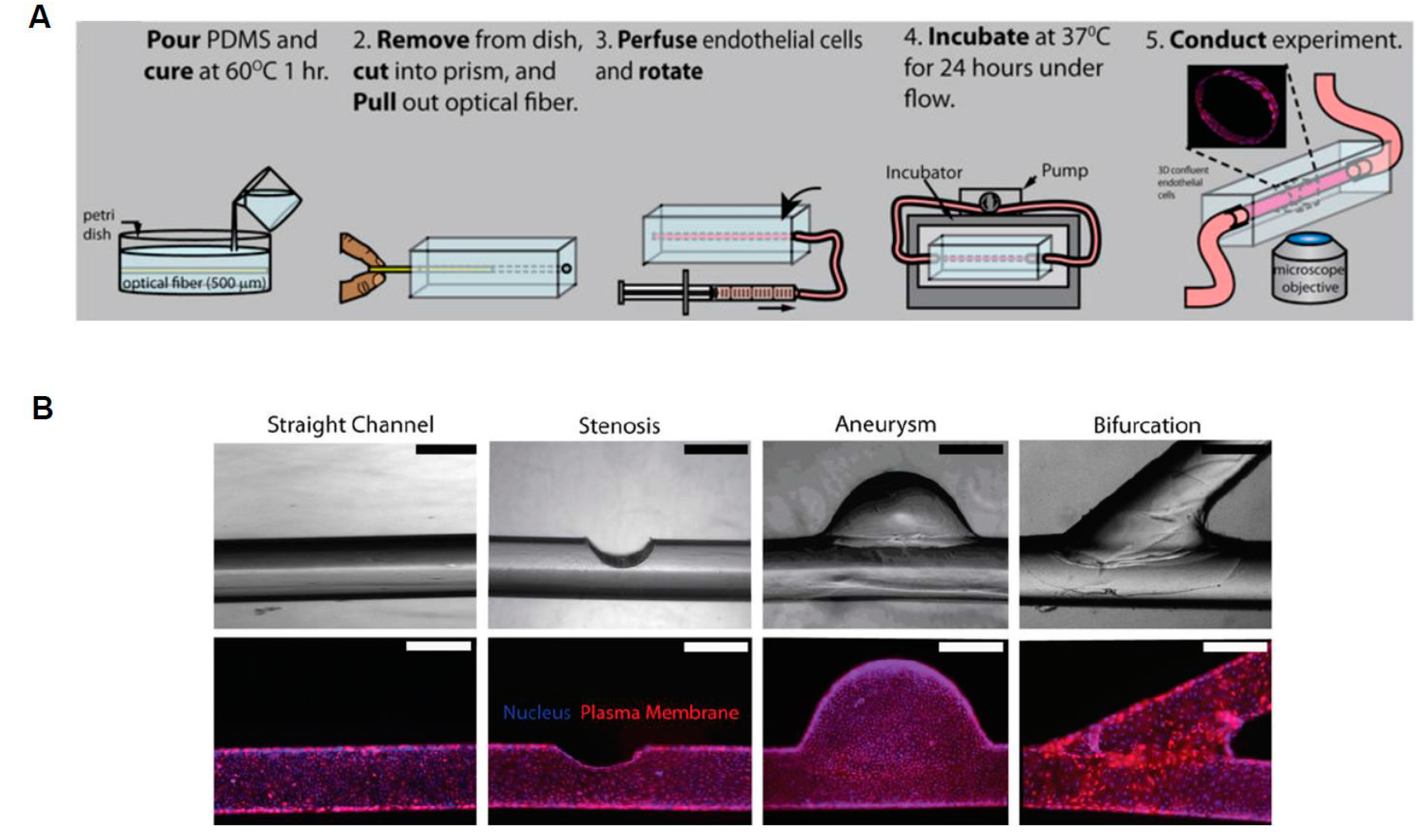 Micromachines 08 00299 g005