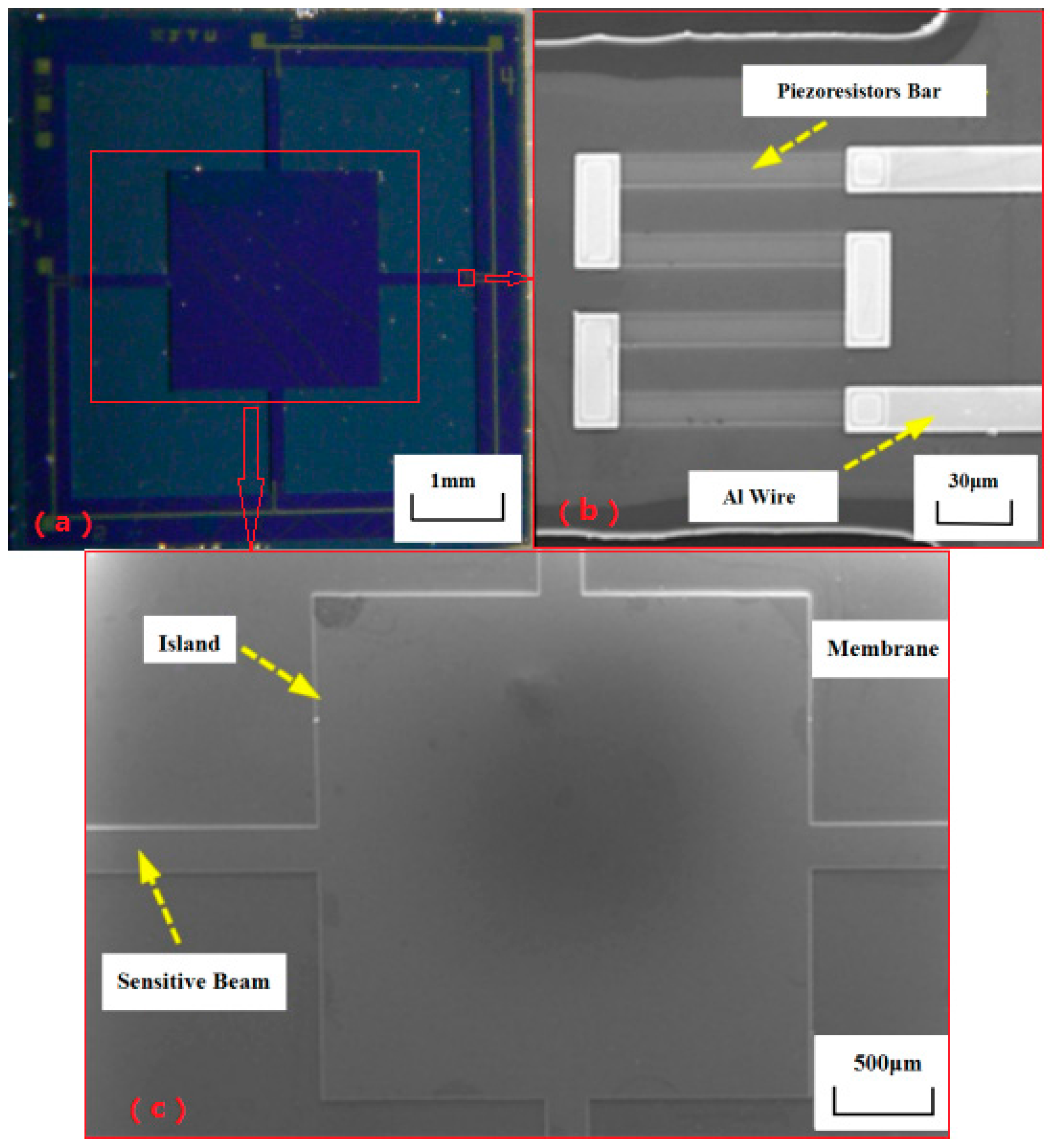 Micromachines 08 00304 g009