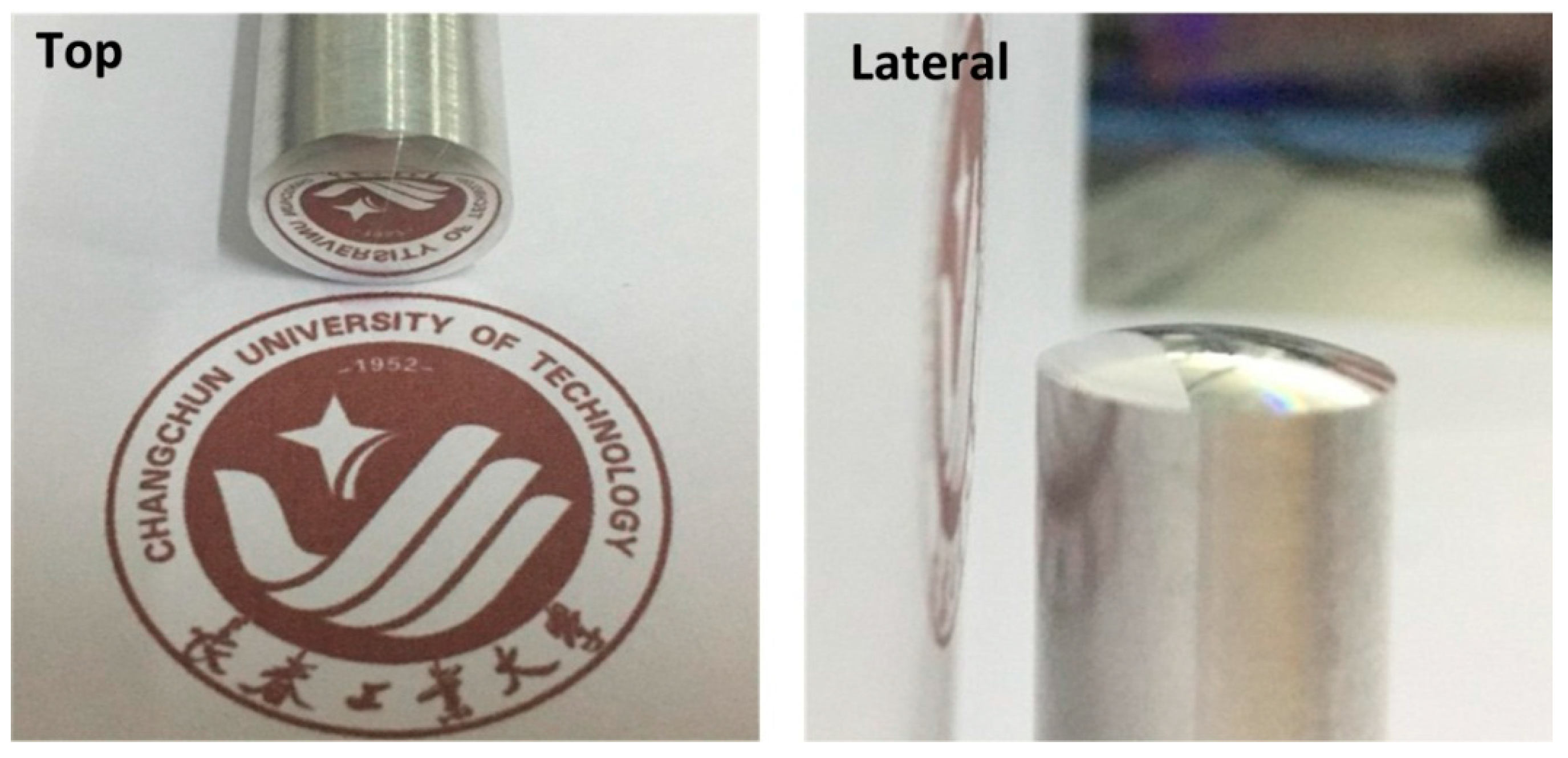 Micromachines 08 00306 g011