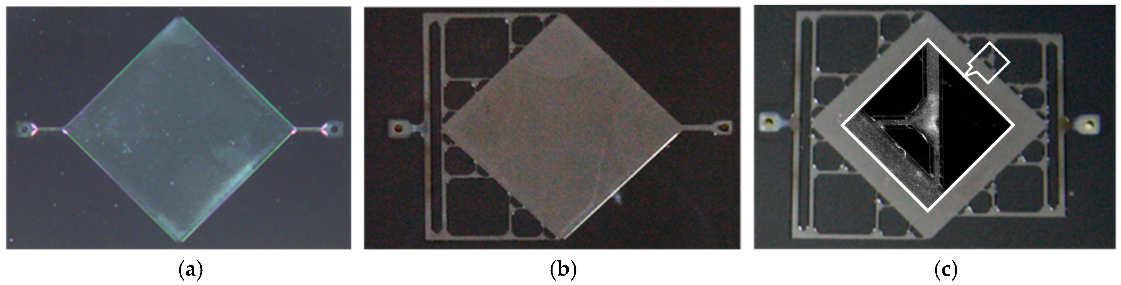 Micromachines 08 00308 g009
