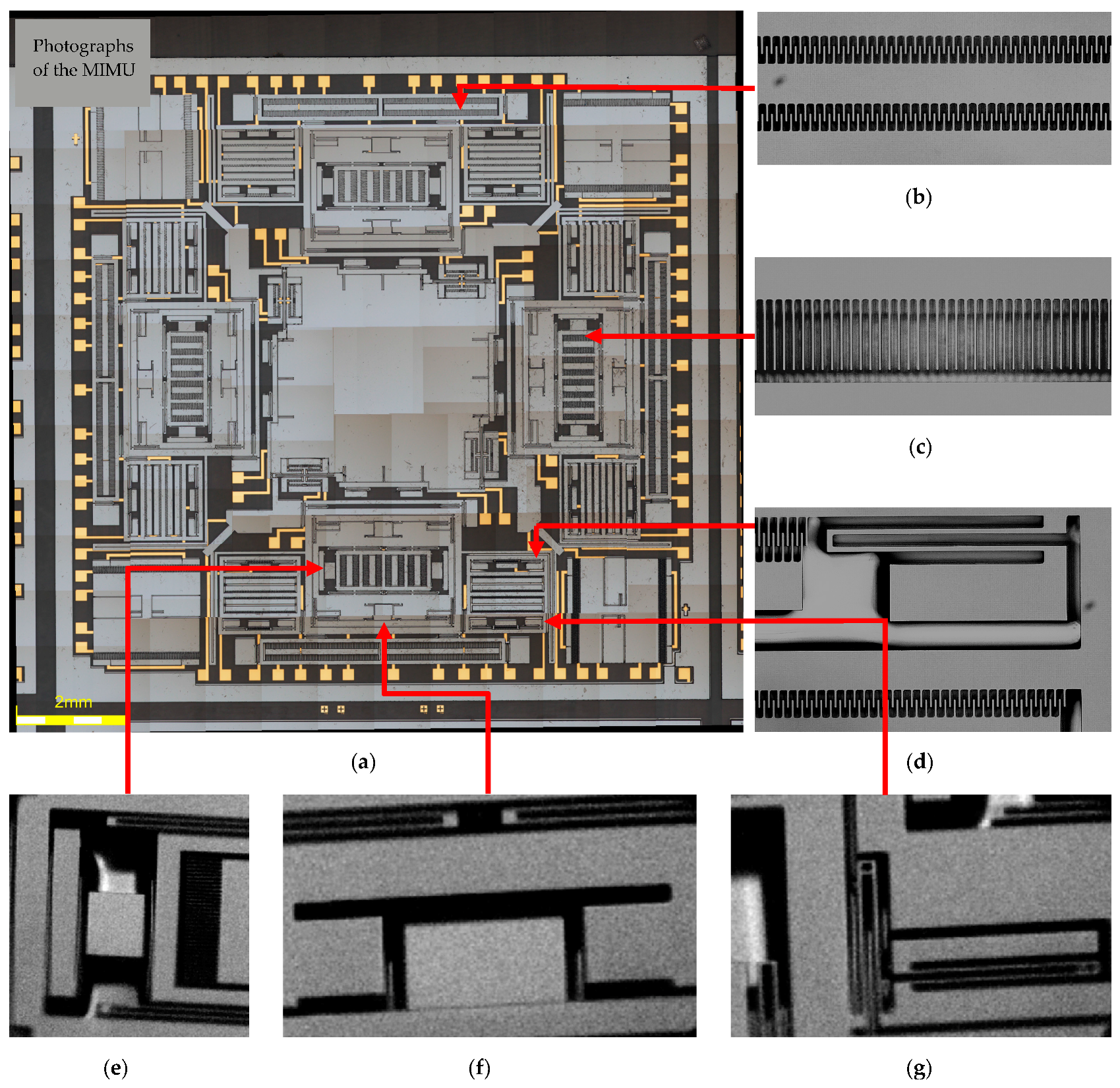 Micromachines 08 00310 g011
