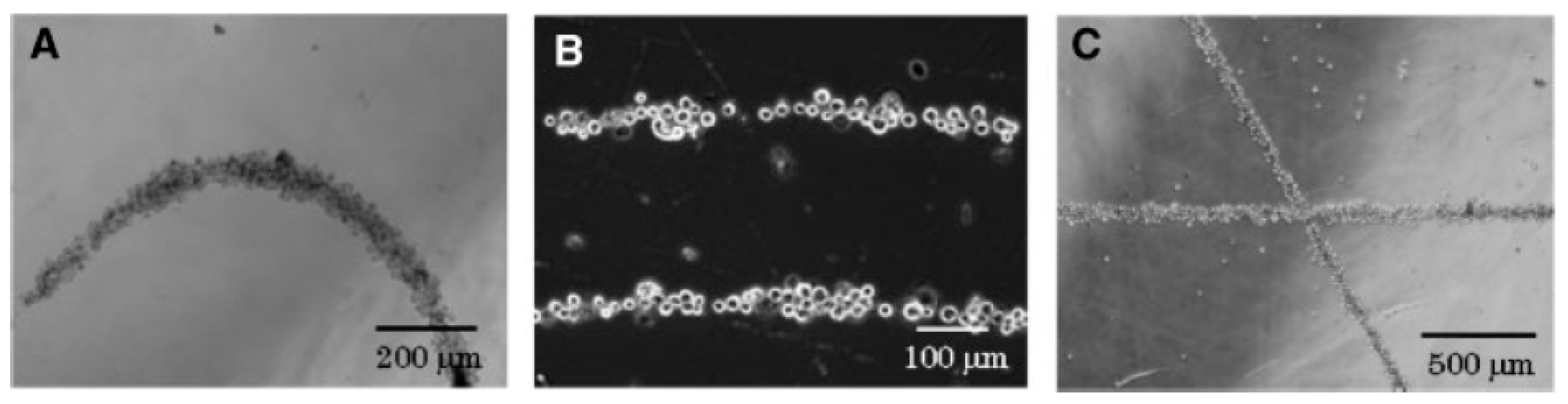 Micromachines 08 00347 g003