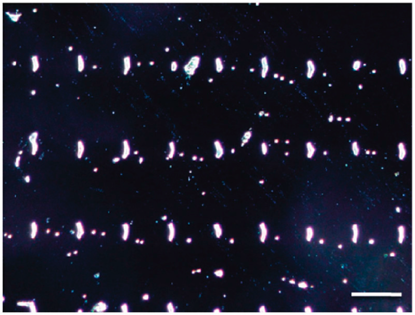 Micromachines 08 00347 g006